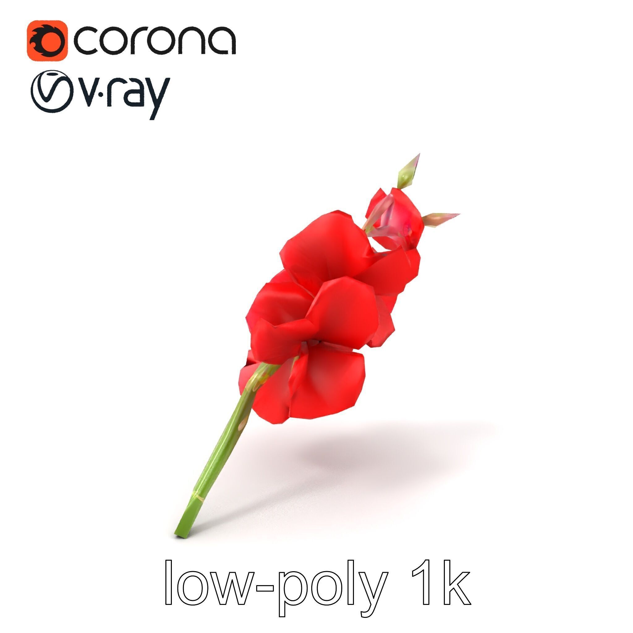 Gladiolus Red Bloom model pack Low-poly 3D model_5