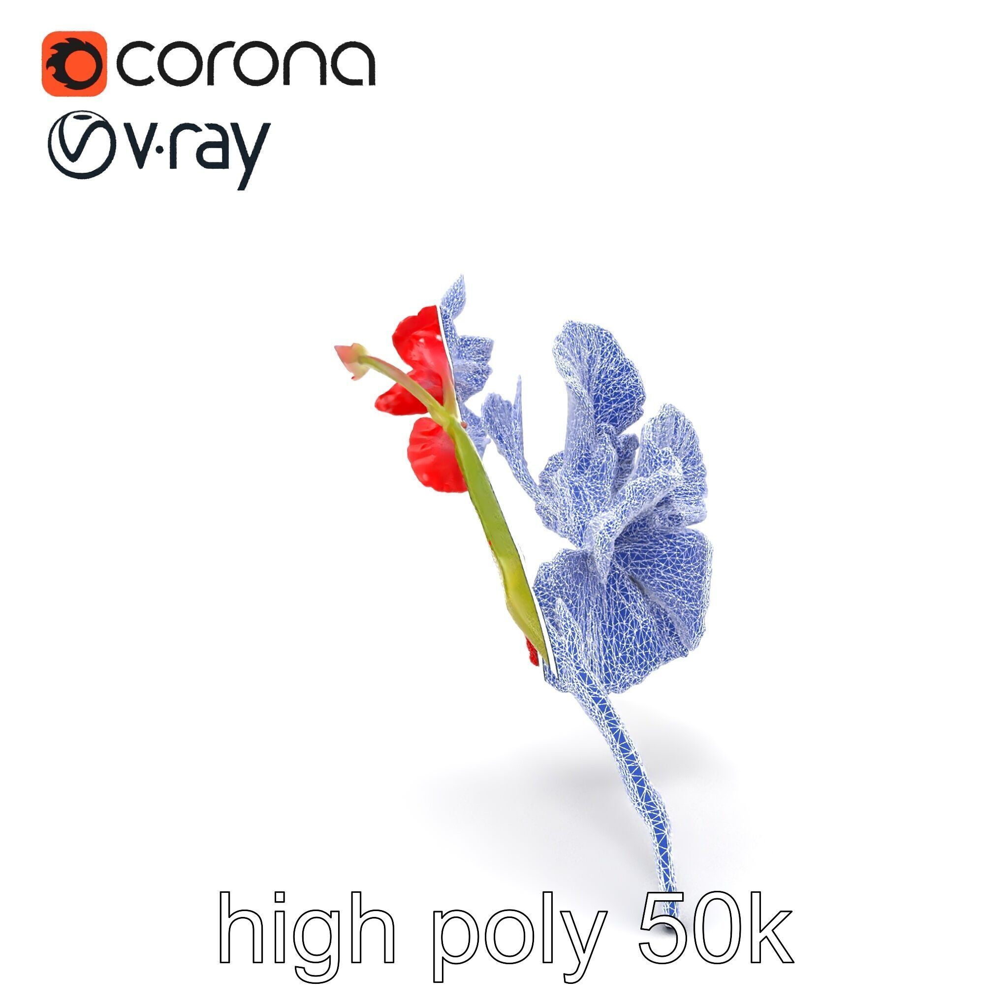 Gladiolus Red Bloom model pack Low-poly 3D model_28