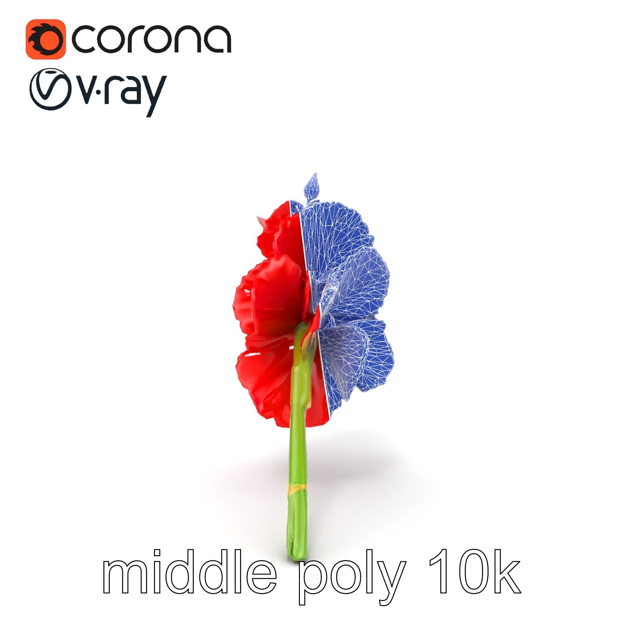 Gladiolus Red Bloom model pack Low-poly 3D model_17