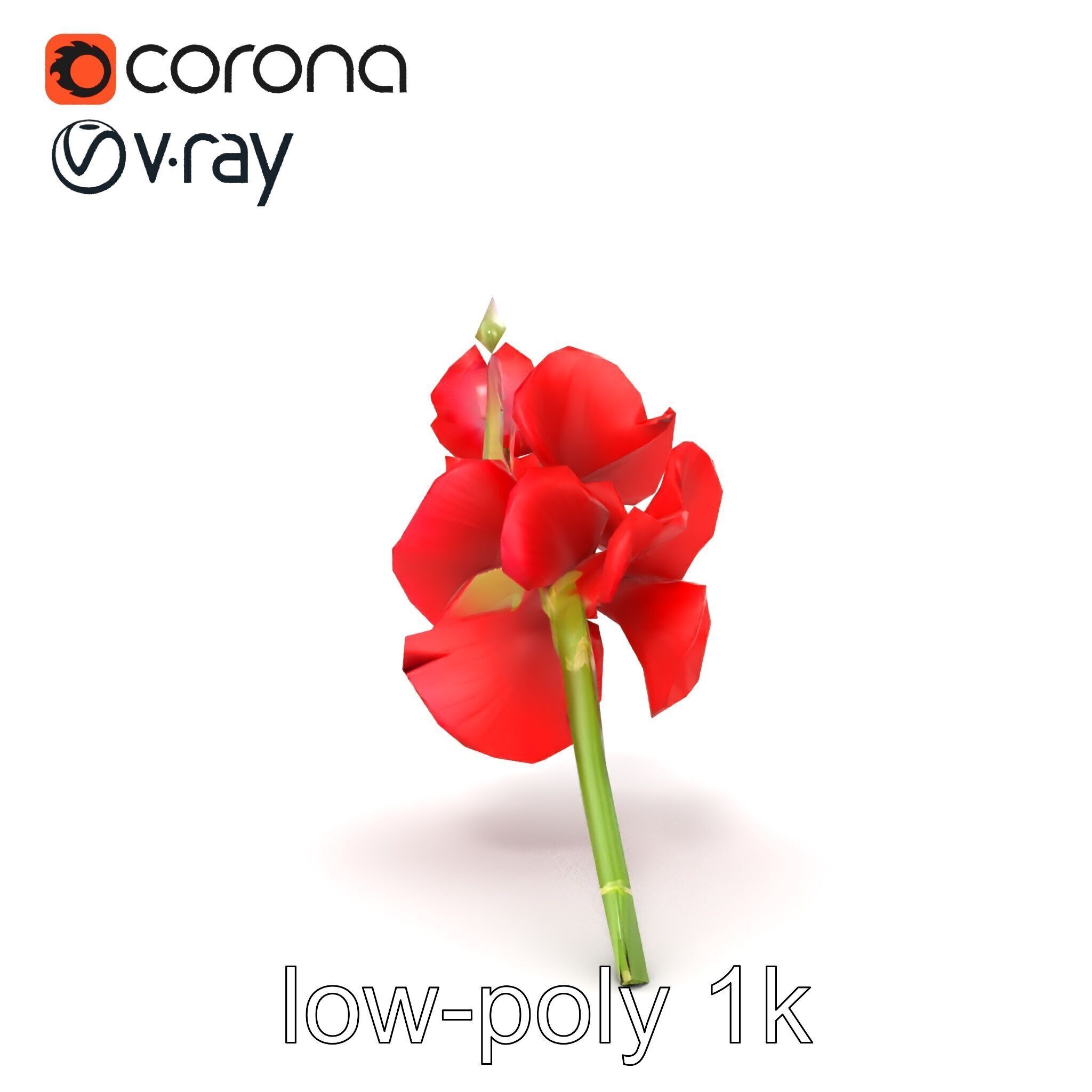 Gladiolus Red Bloom model pack Low-poly 3D model_22