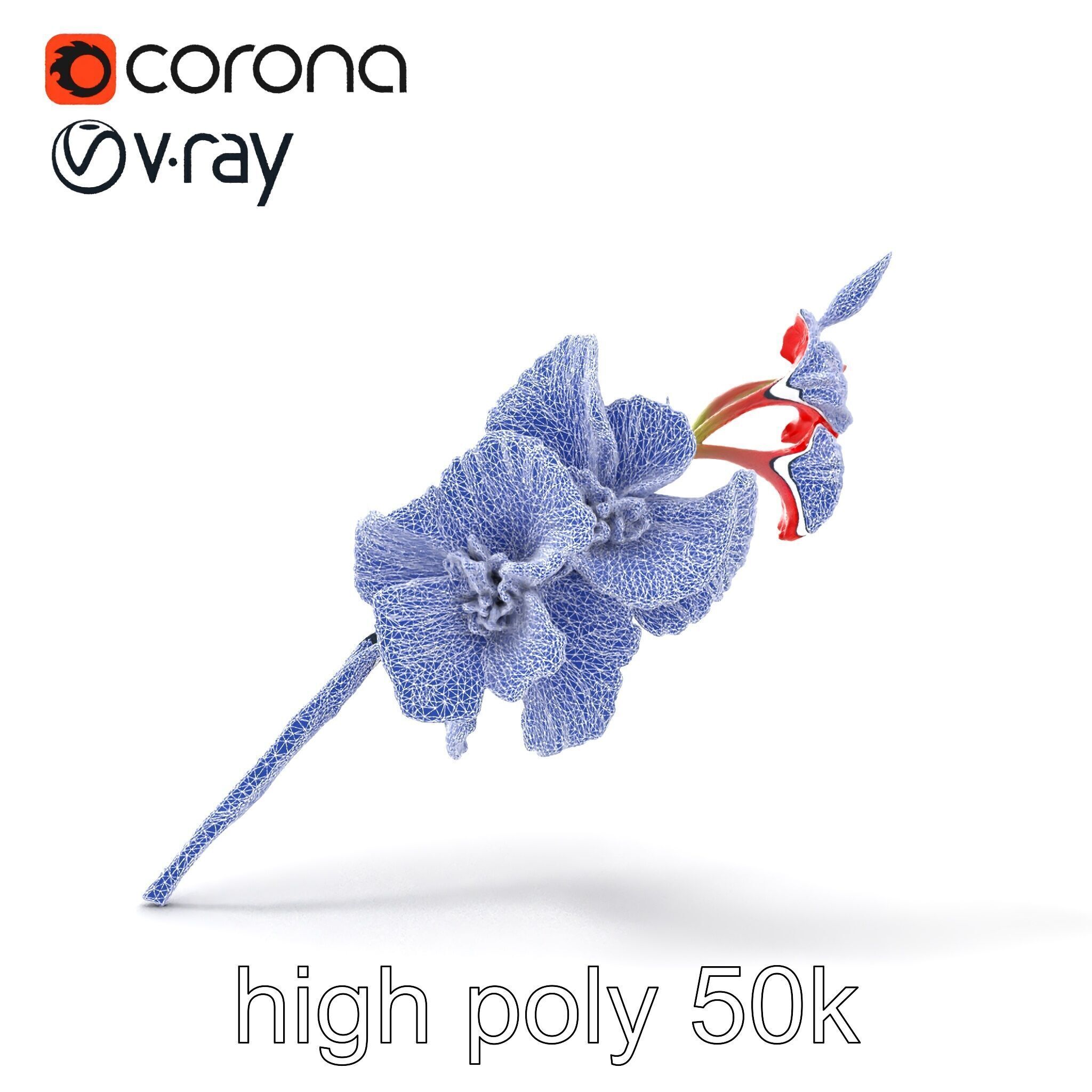 Gladiolus Red Bloom model pack Low-poly 3D model_32