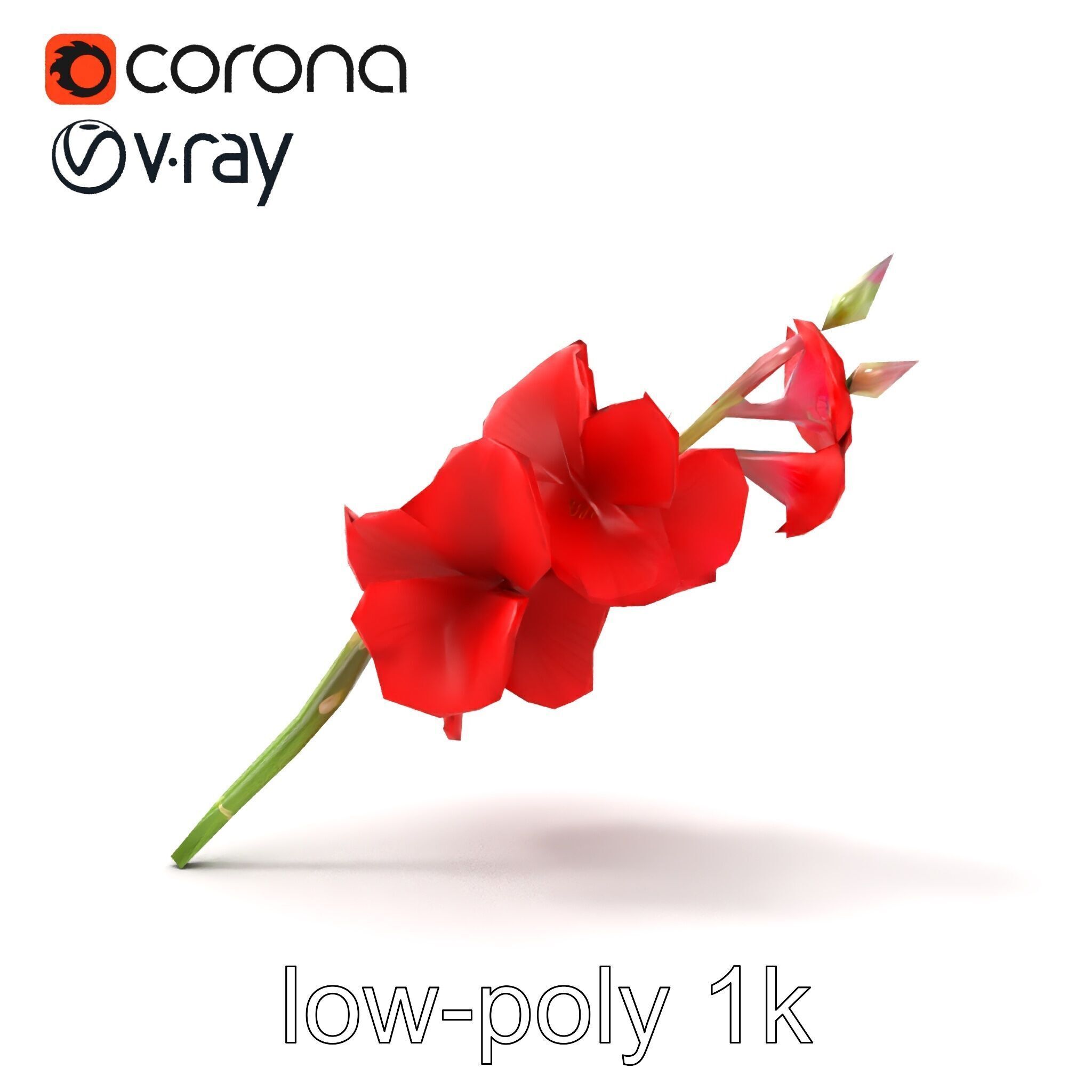 Gladiolus Red Bloom model pack Low-poly 3D model_19