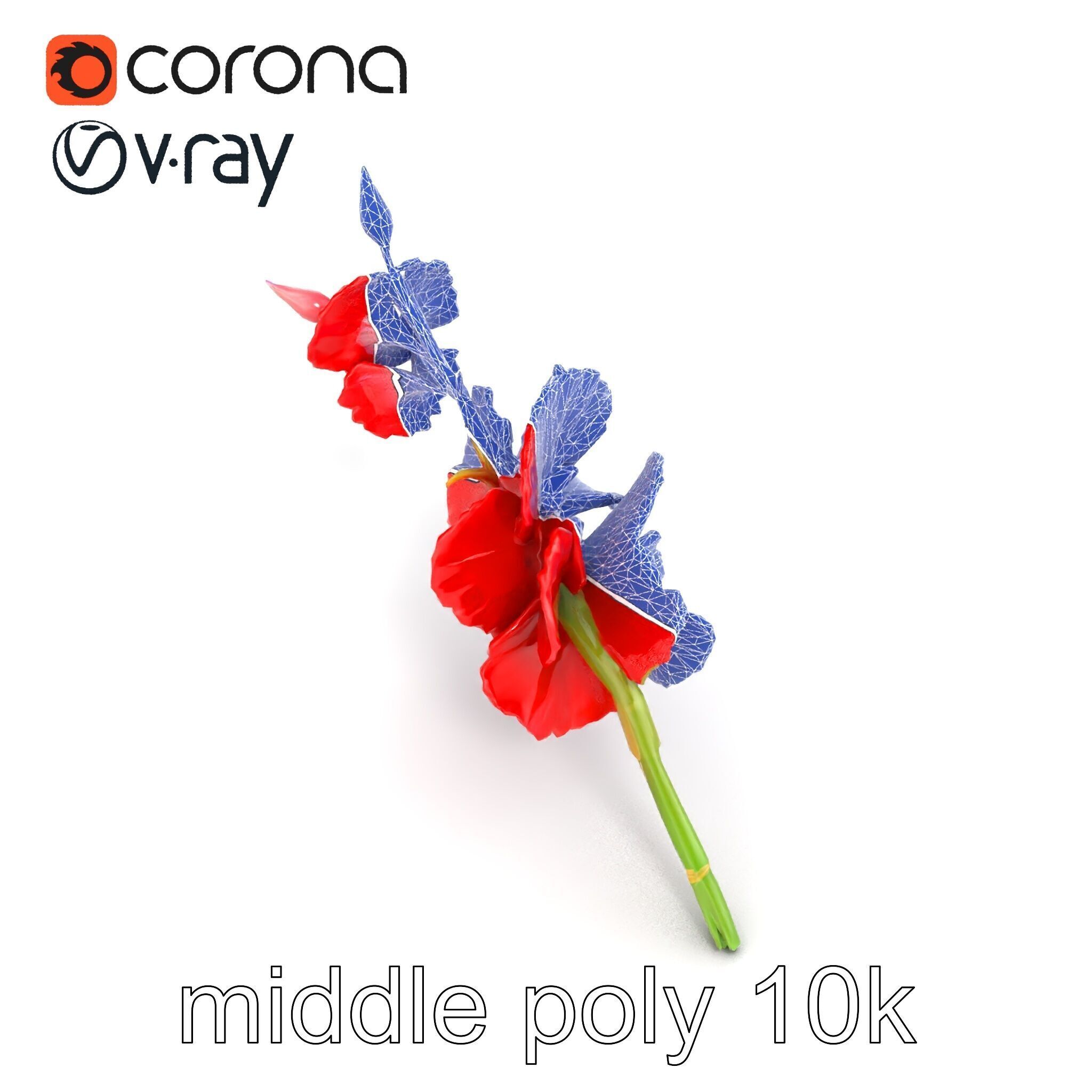 Gladiolus Red Bloom model pack Low-poly 3D model_14