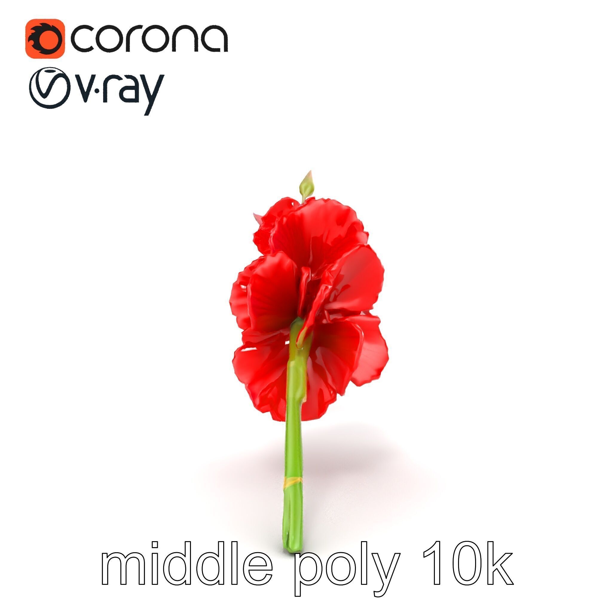 Gladiolus Red Bloom model pack Low-poly 3D model_21