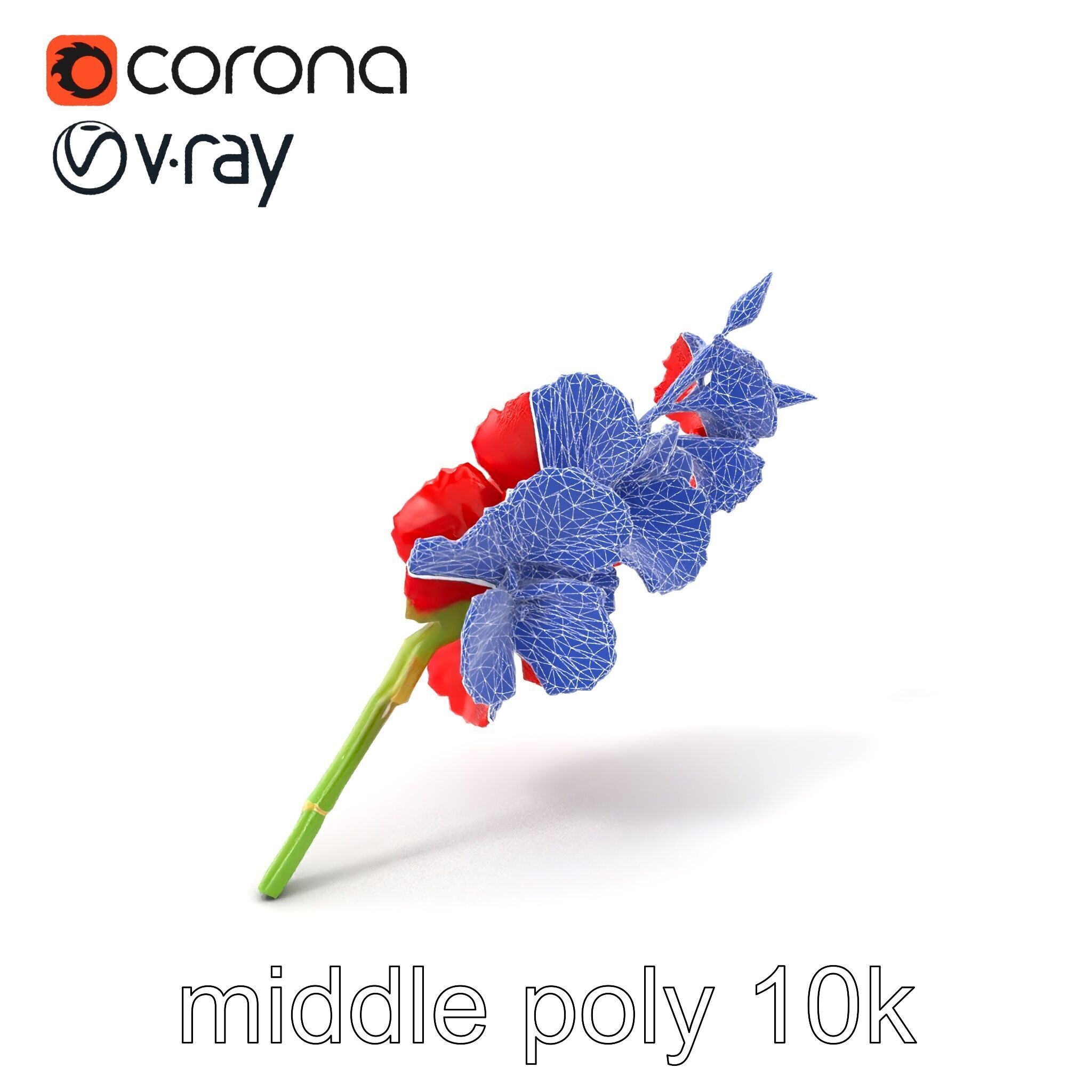 Gladiolus Red Bloom model pack Low-poly 3D model_6