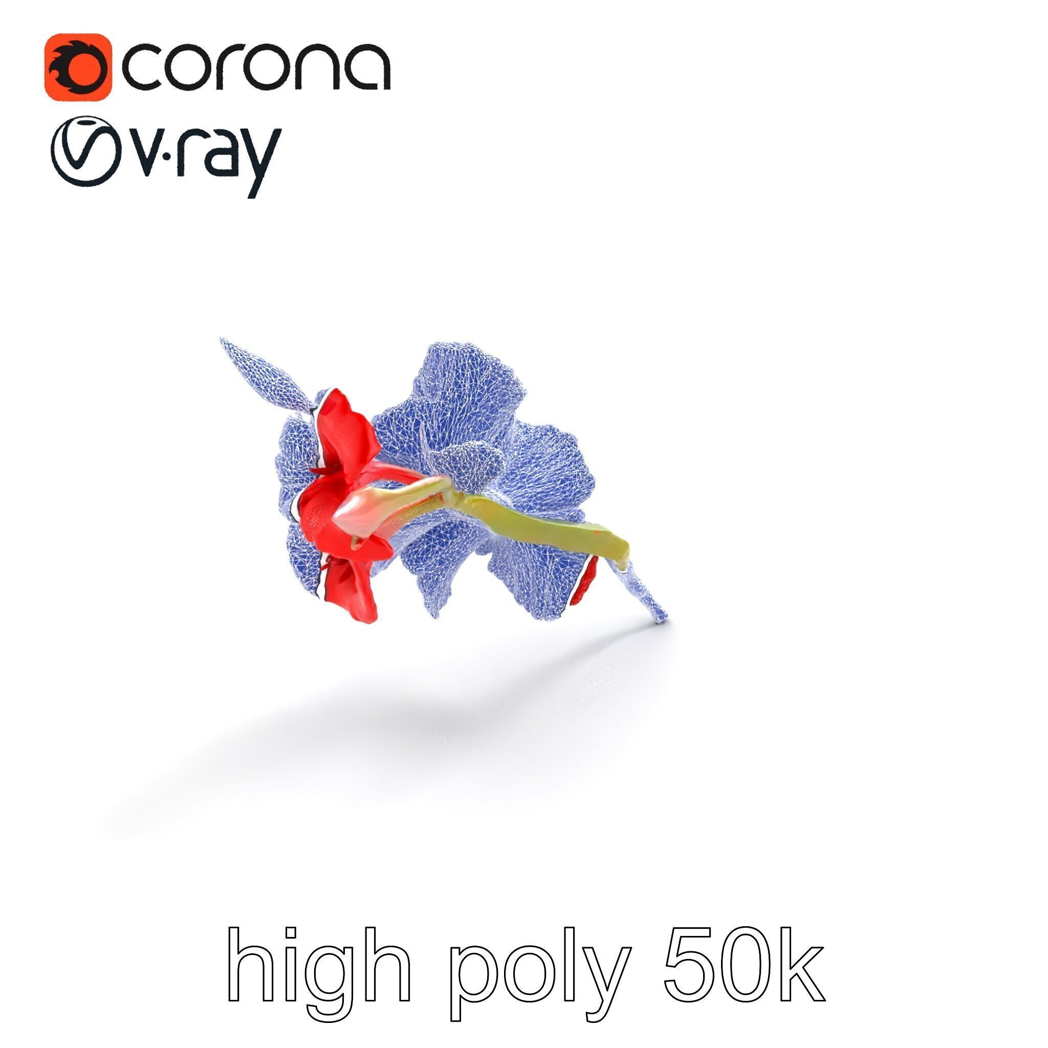 Gladiolus Red Bloom model pack Low-poly 3D model_27