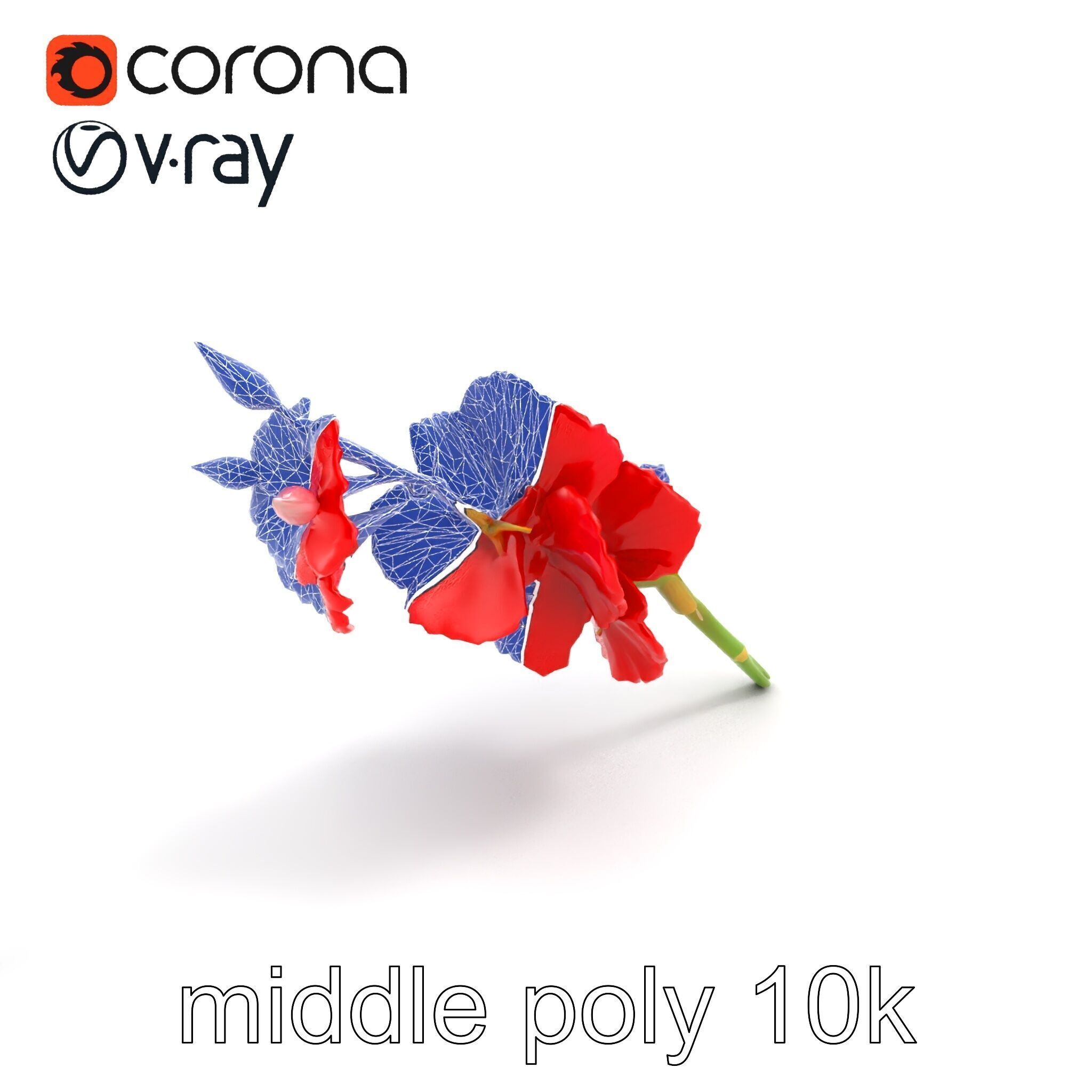 Gladiolus Red Bloom model pack Low-poly 3D model_11