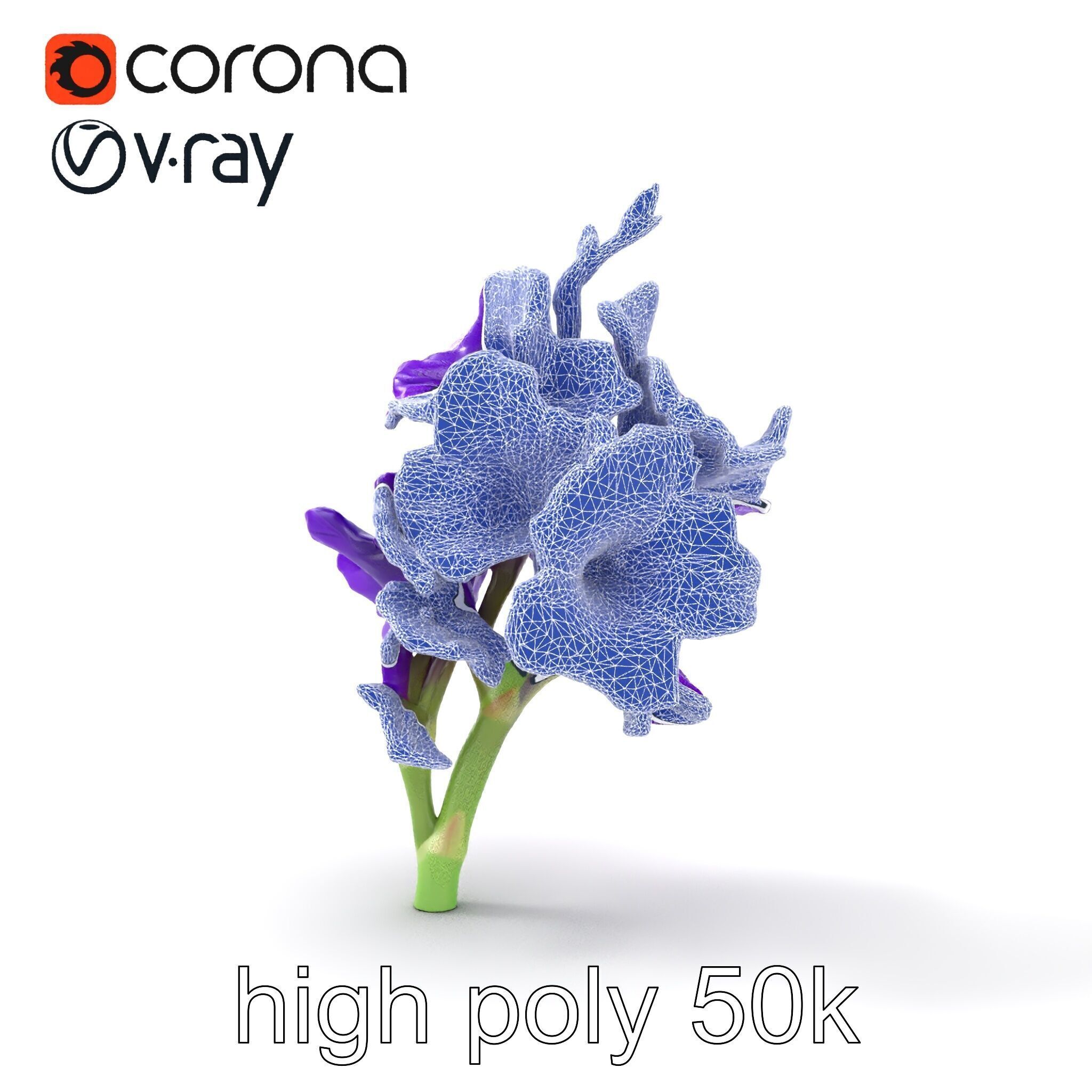 Gladiolus Purple Petals Bloom Sculpture model pack Low-poly 3D model_30