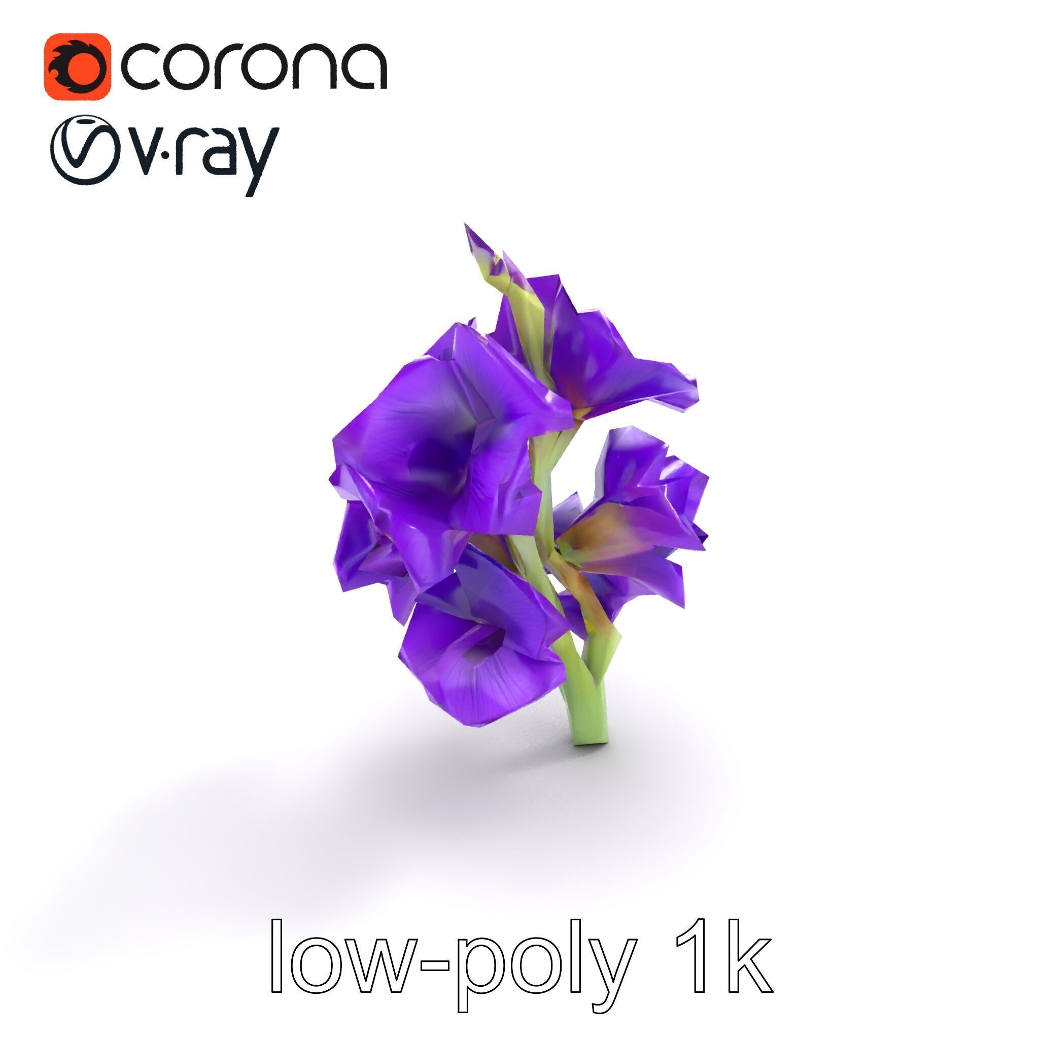 Gladiolus Purple Petals Bloom Sculpture model pack Low-poly 3D model_8