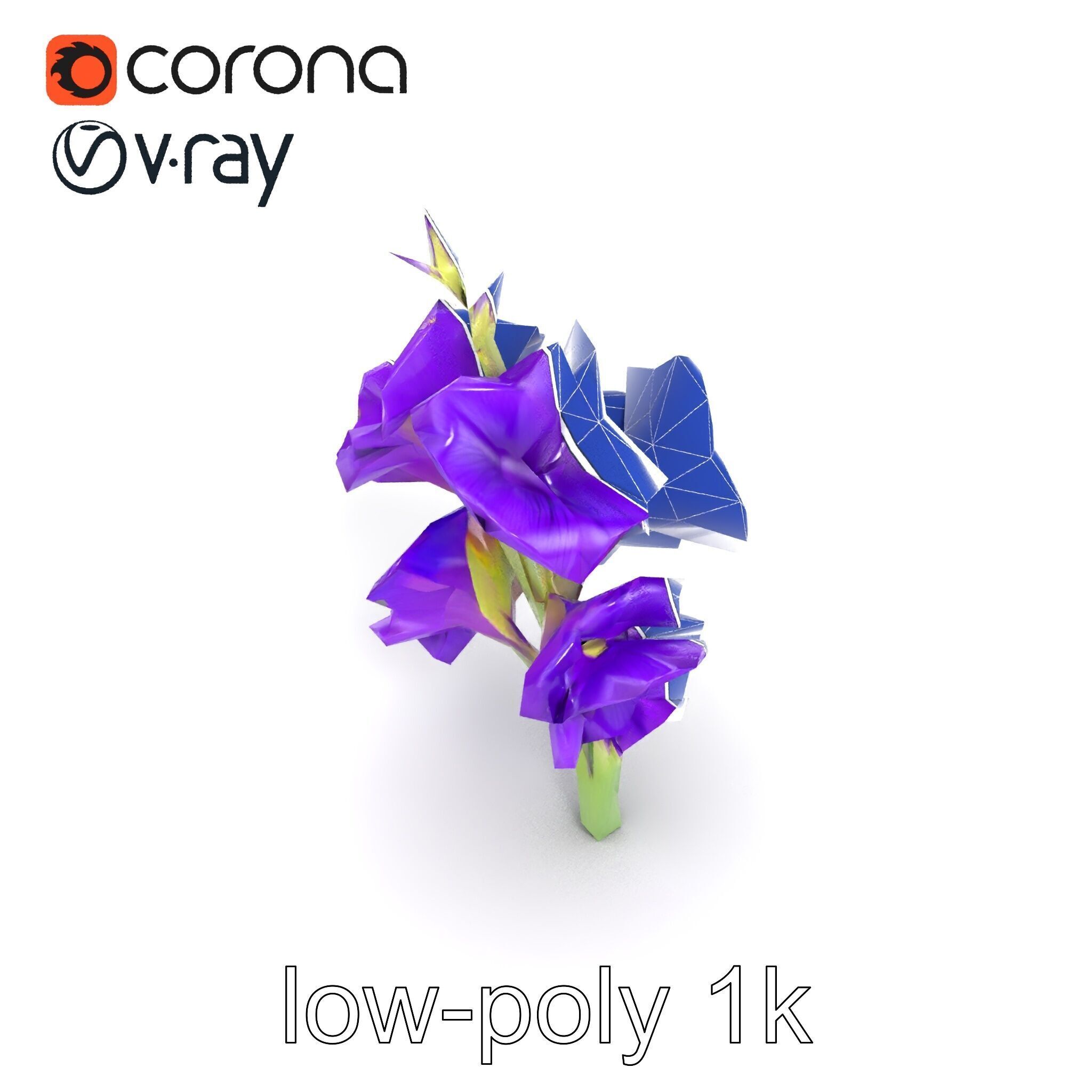 Gladiolus Purple Petals Bloom Sculpture model pack Low-poly 3D model_19