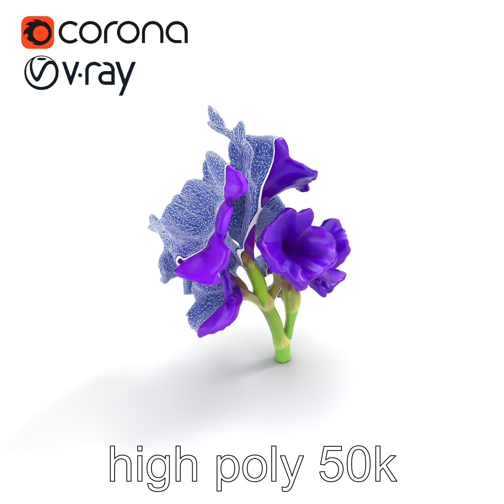 Gladiolus Purple Petals Bloom Sculpture model pack Low-poly 3D model_12