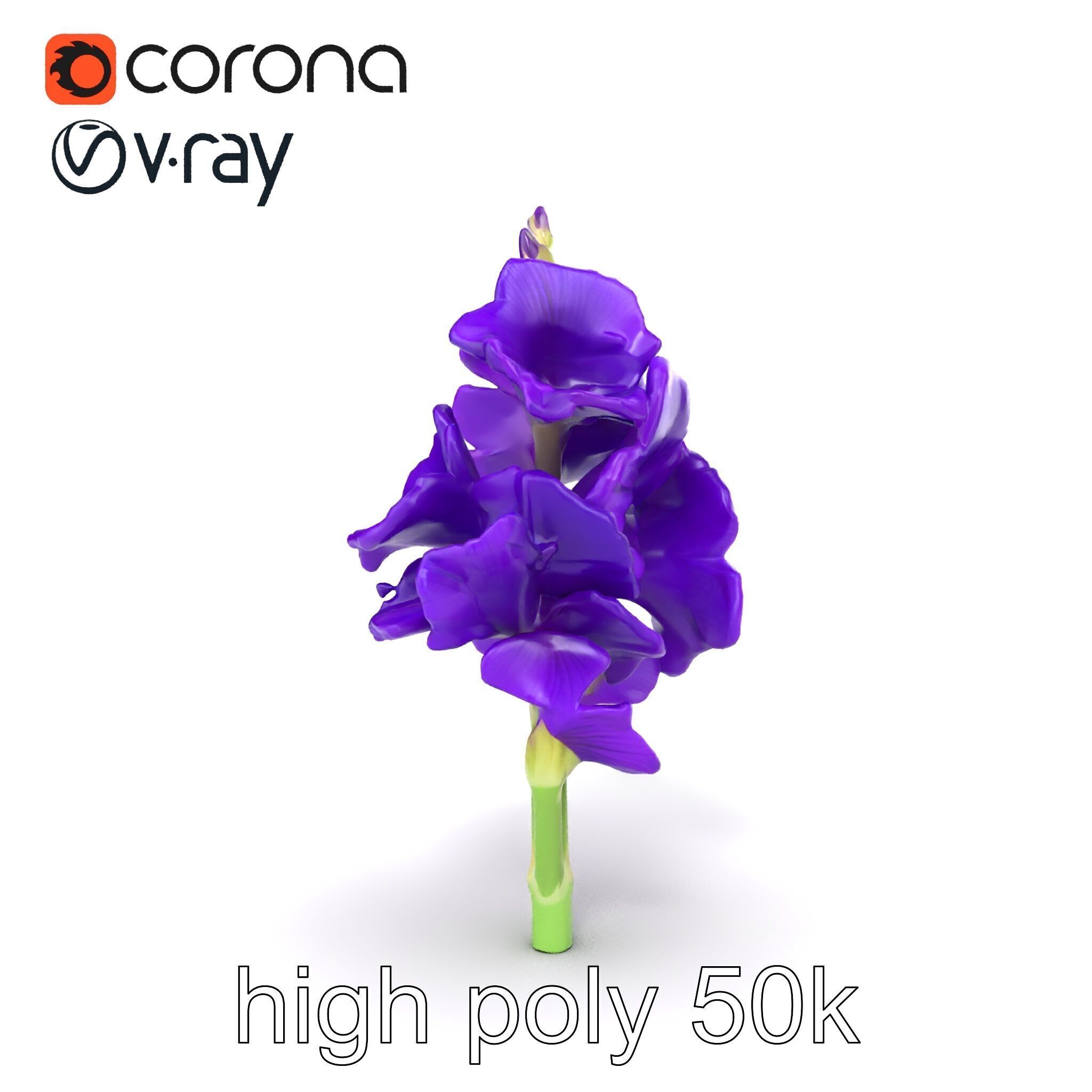Gladiolus Purple Petals Bloom Sculpture model pack Low-poly 3D model_27