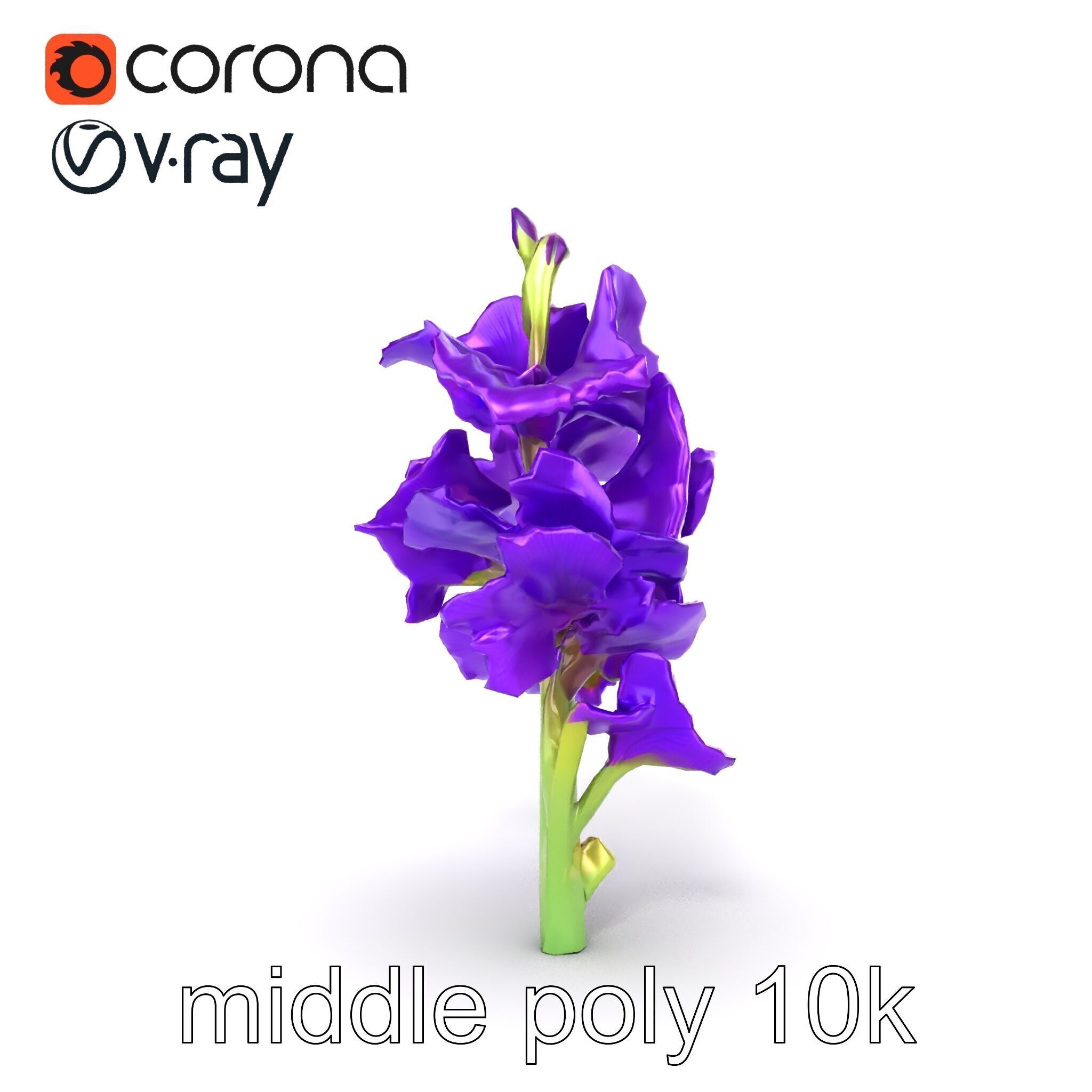 Gladiolus Purple Petals Bloom Sculpture model pack Low-poly 3D model_17