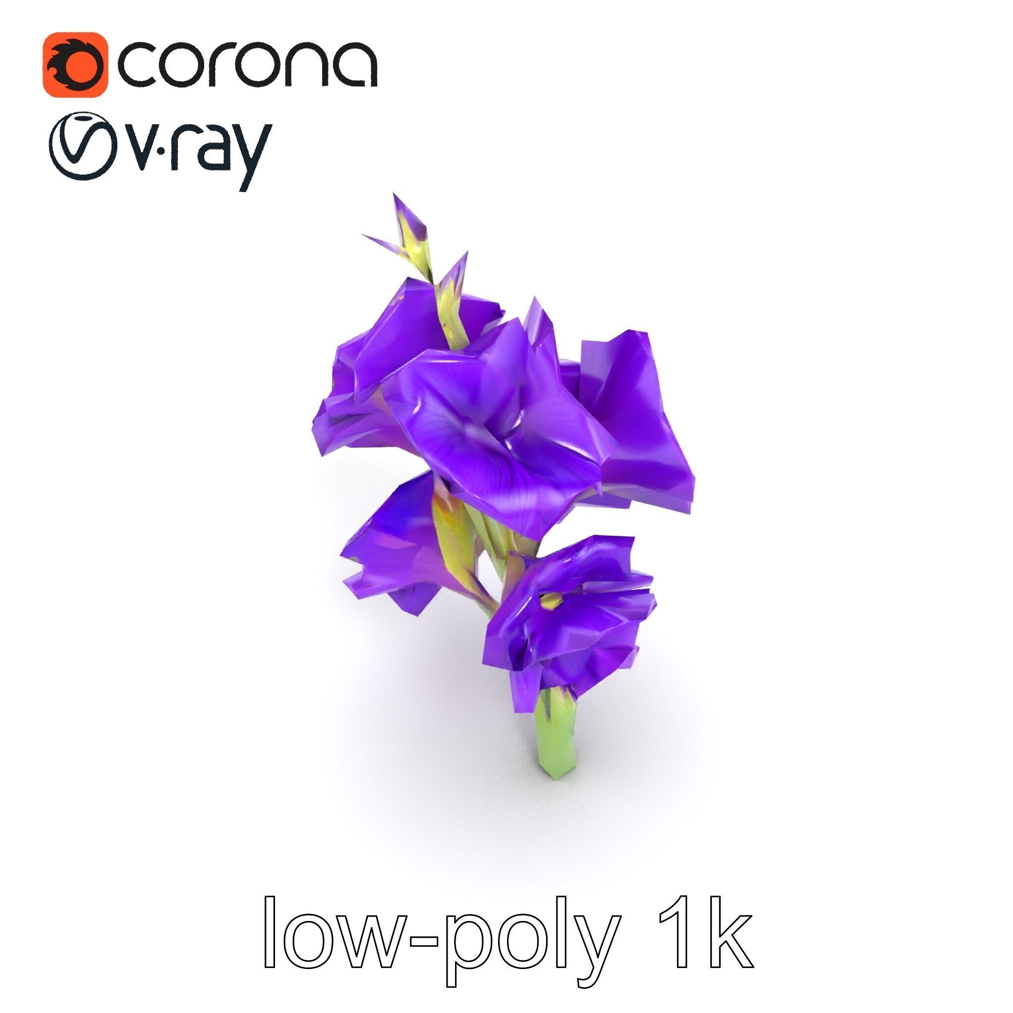 Gladiolus Purple Petals Bloom Sculpture model pack Low-poly 3D model_14