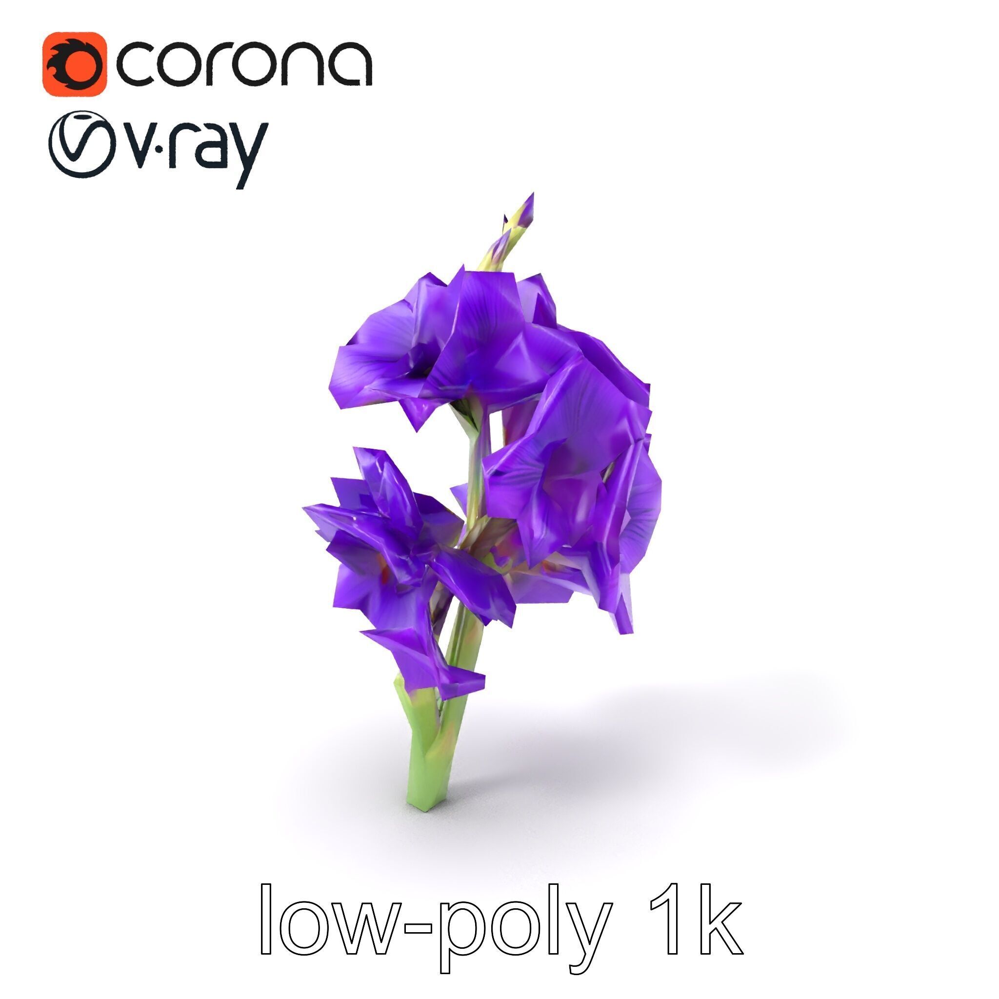 Gladiolus Purple Petals Bloom Sculpture model pack Low-poly 3D model_4