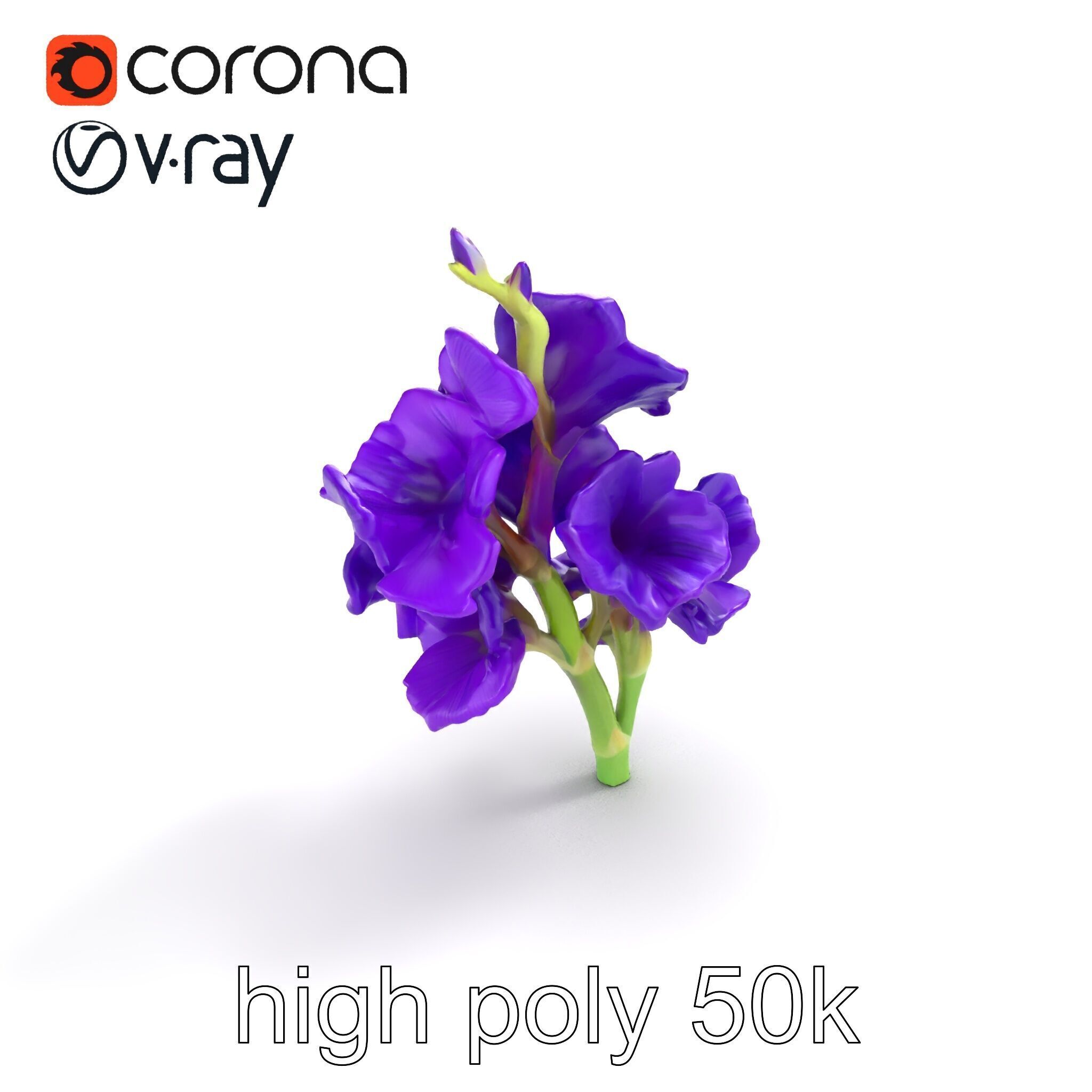 Gladiolus Purple Petals Bloom Sculpture model pack Low-poly 3D model_9