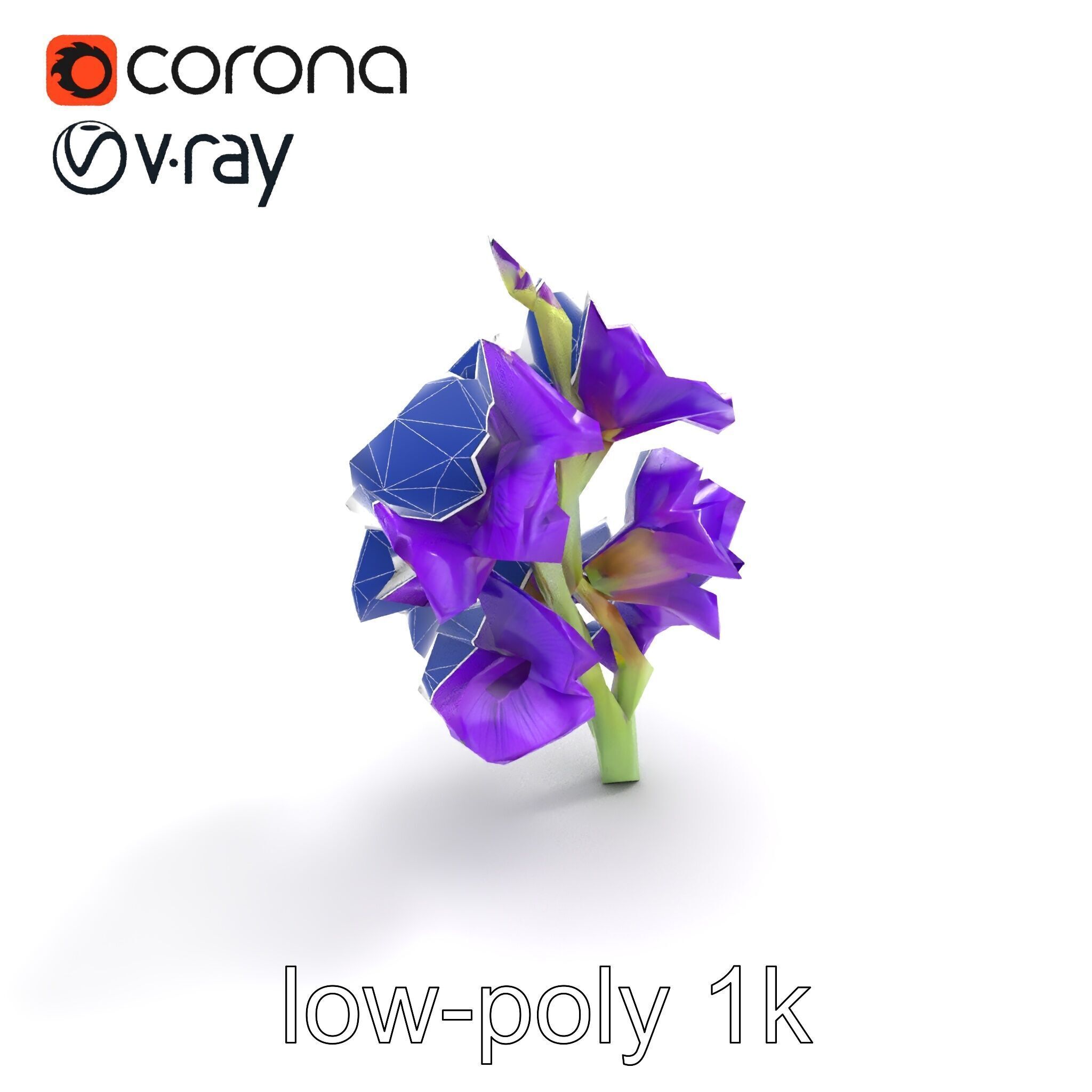Gladiolus Purple Petals Bloom Sculpture model pack Low-poly 3D model_10
