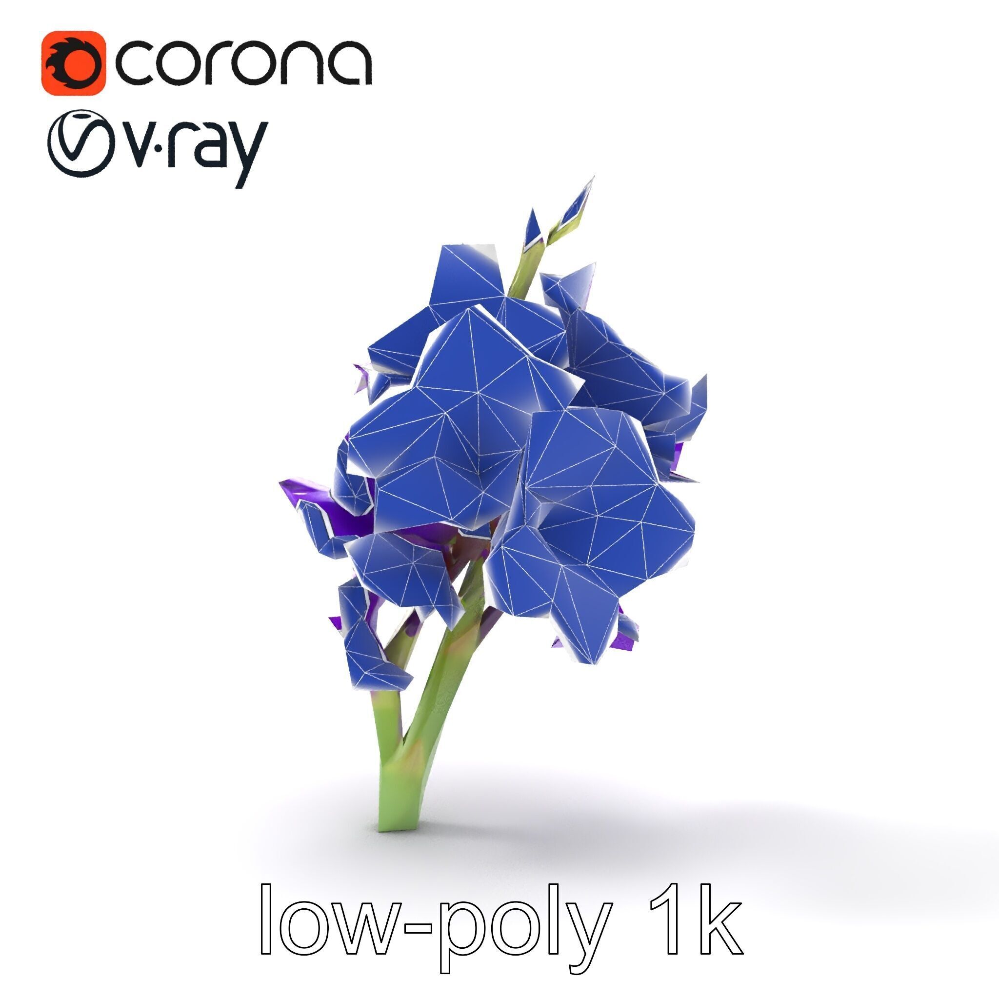 Gladiolus Purple Petals Bloom Sculpture model pack Low-poly 3D model_23