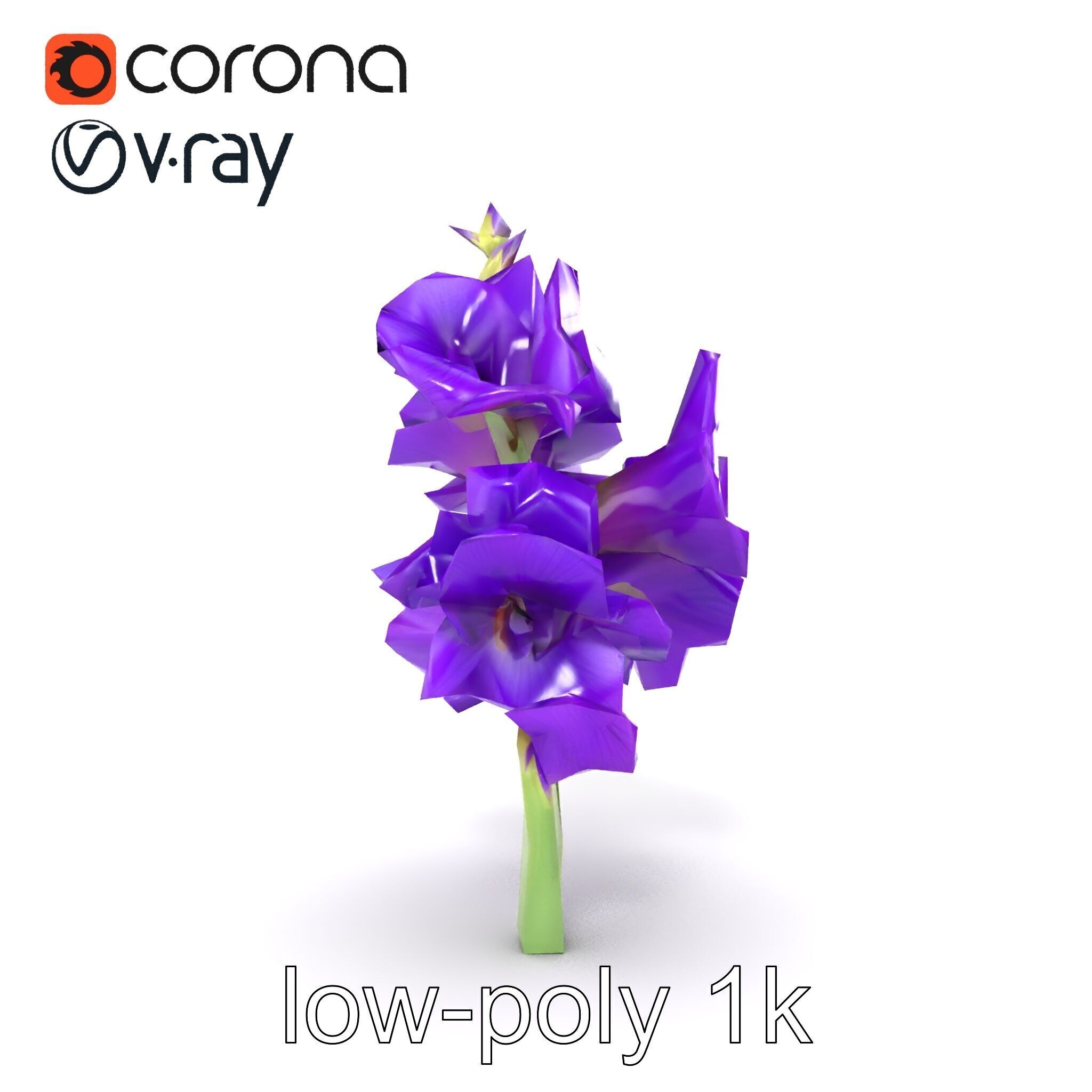Gladiolus Purple Petals Bloom Sculpture model pack Low-poly 3D model_25