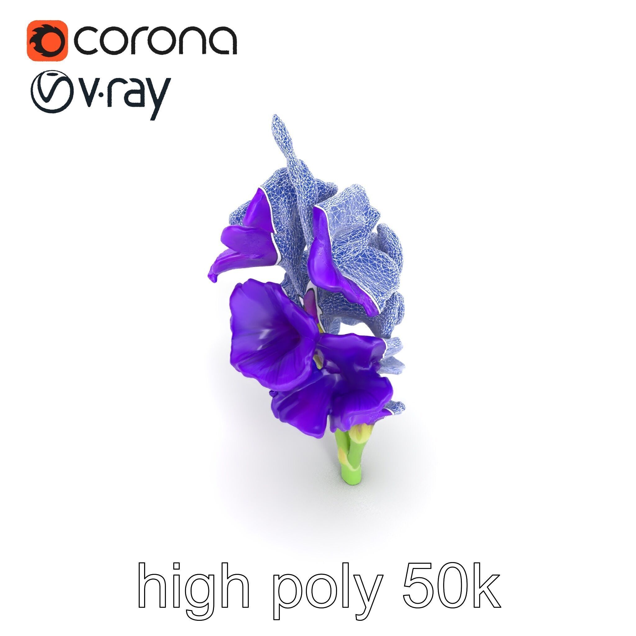 Gladiolus Purple Petals Bloom Sculpture model pack Low-poly 3D model_16