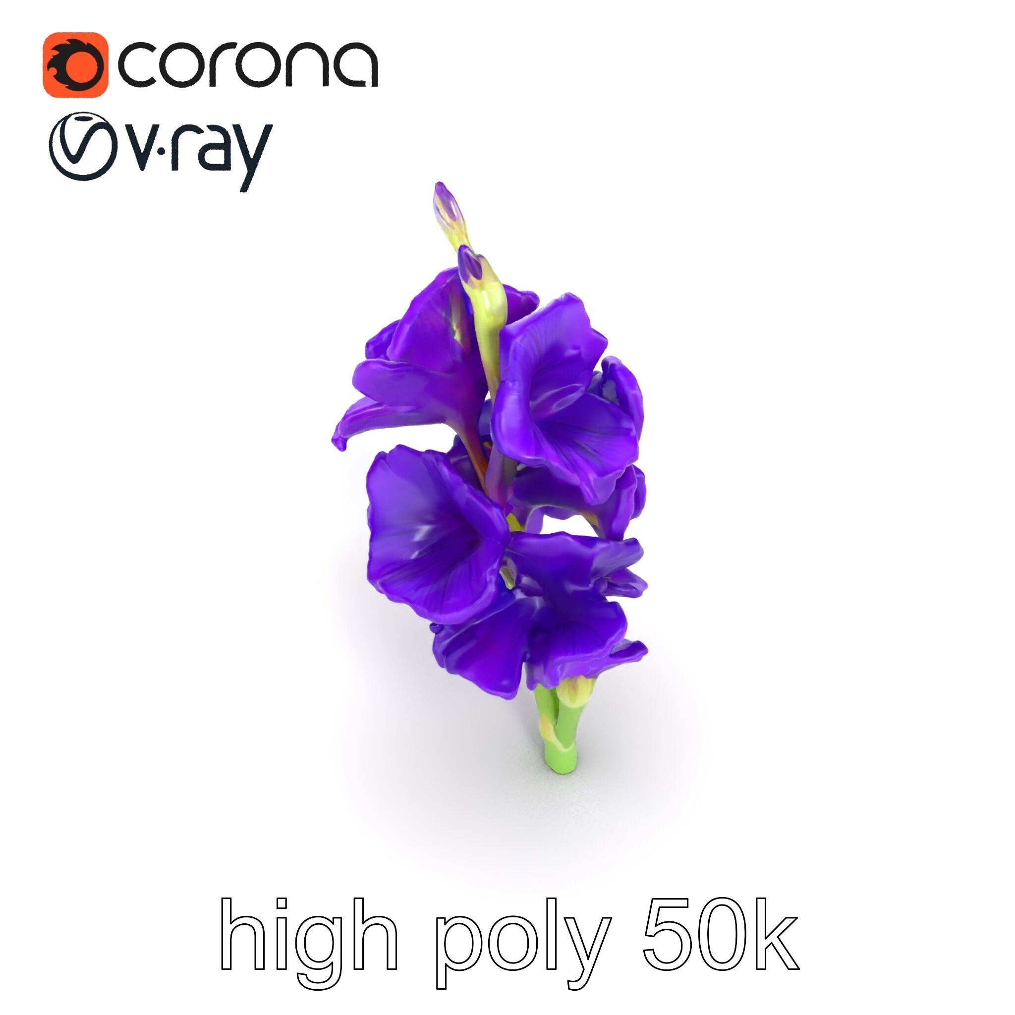 Gladiolus Purple Petals Bloom Sculpture model pack Low-poly 3D model_13