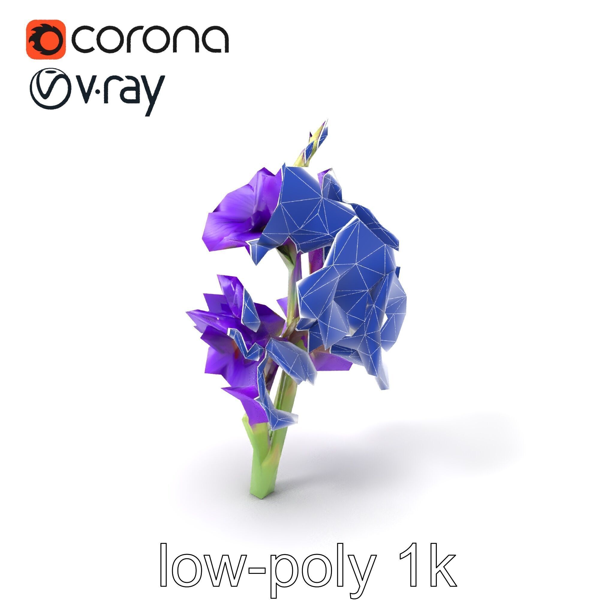 Gladiolus Purple Petals Bloom Sculpture model pack Low-poly 3D model_6