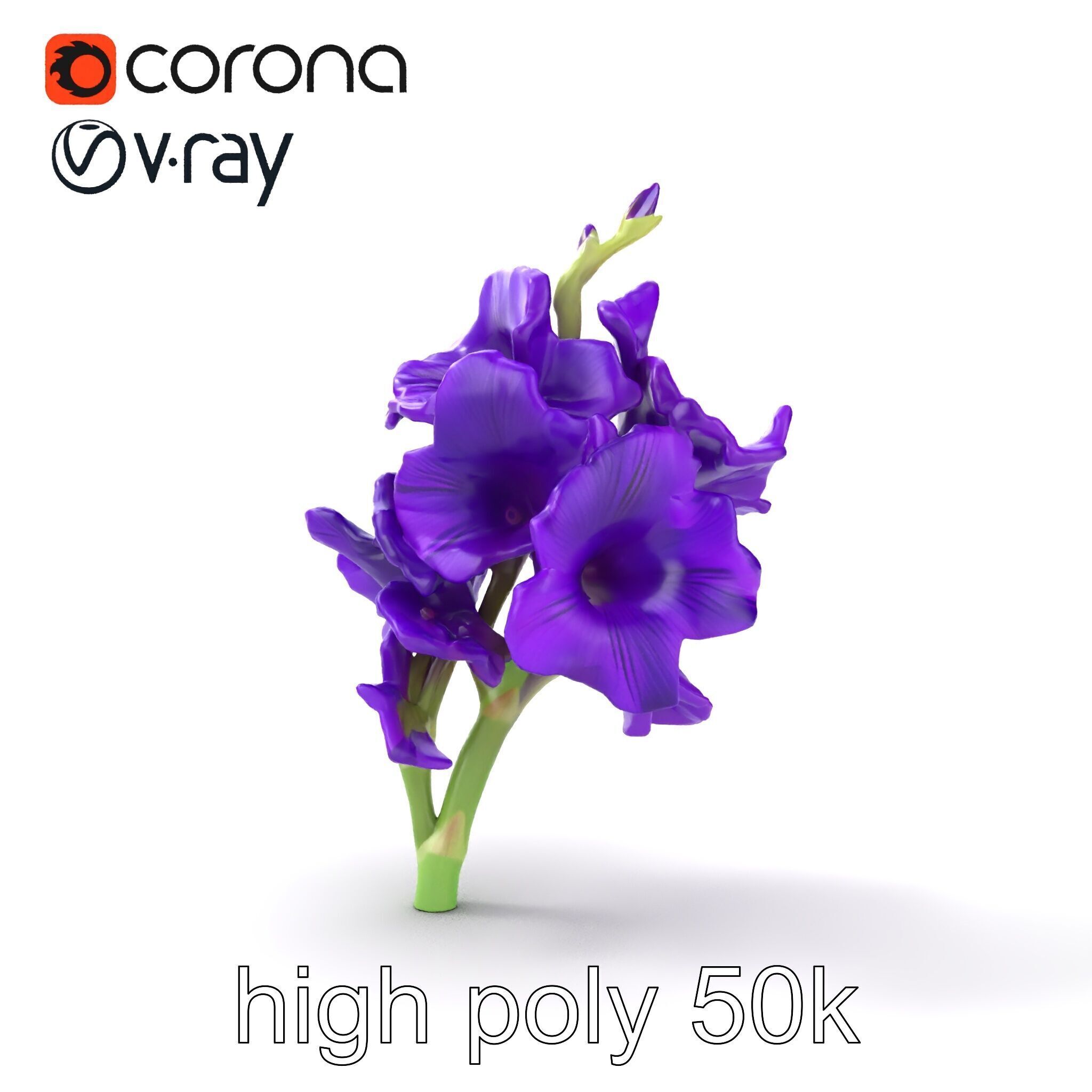 Gladiolus Purple Petals Bloom Sculpture model pack Low-poly 3D model_21