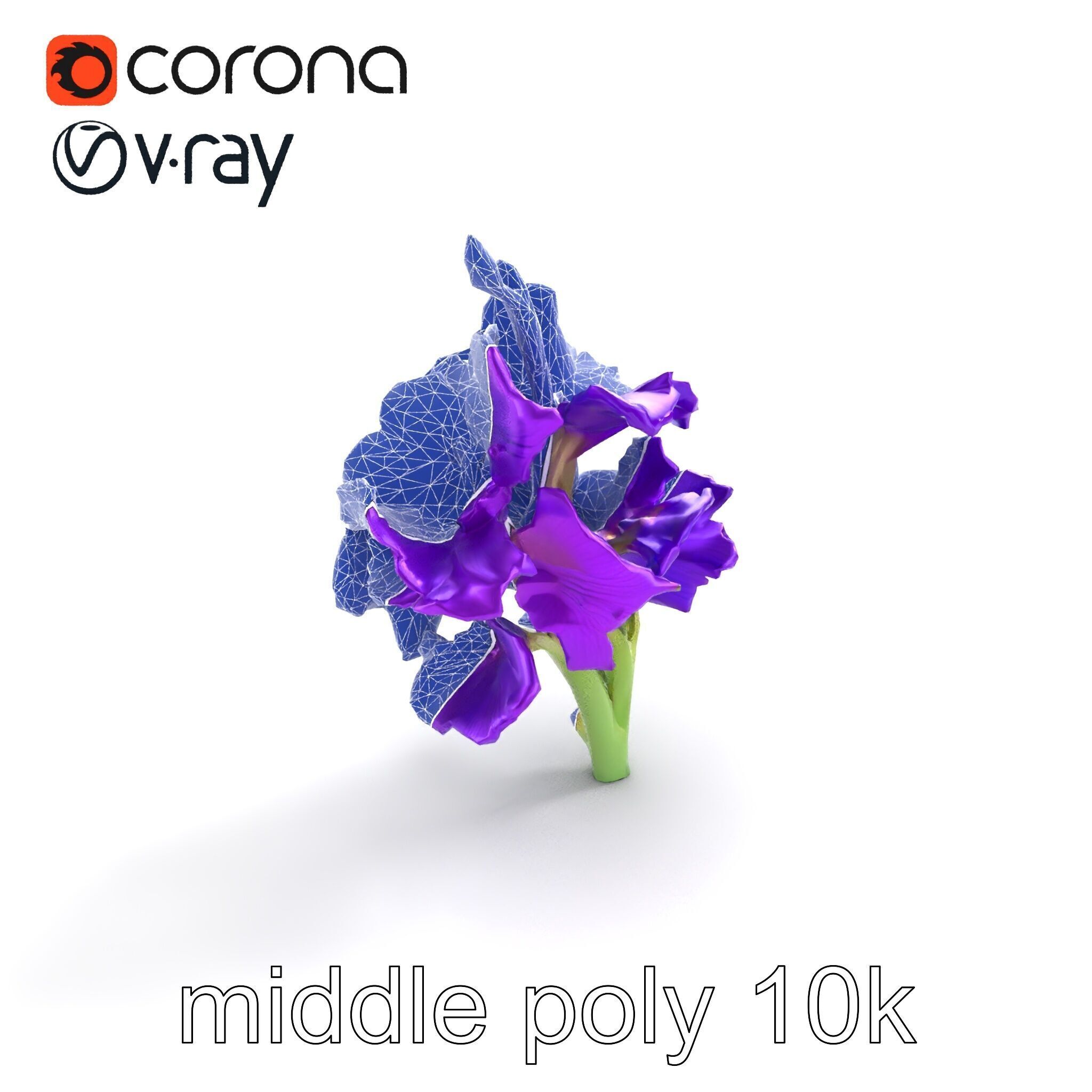 Gladiolus Purple Petals Bloom Sculpture model pack Low-poly 3D model_22