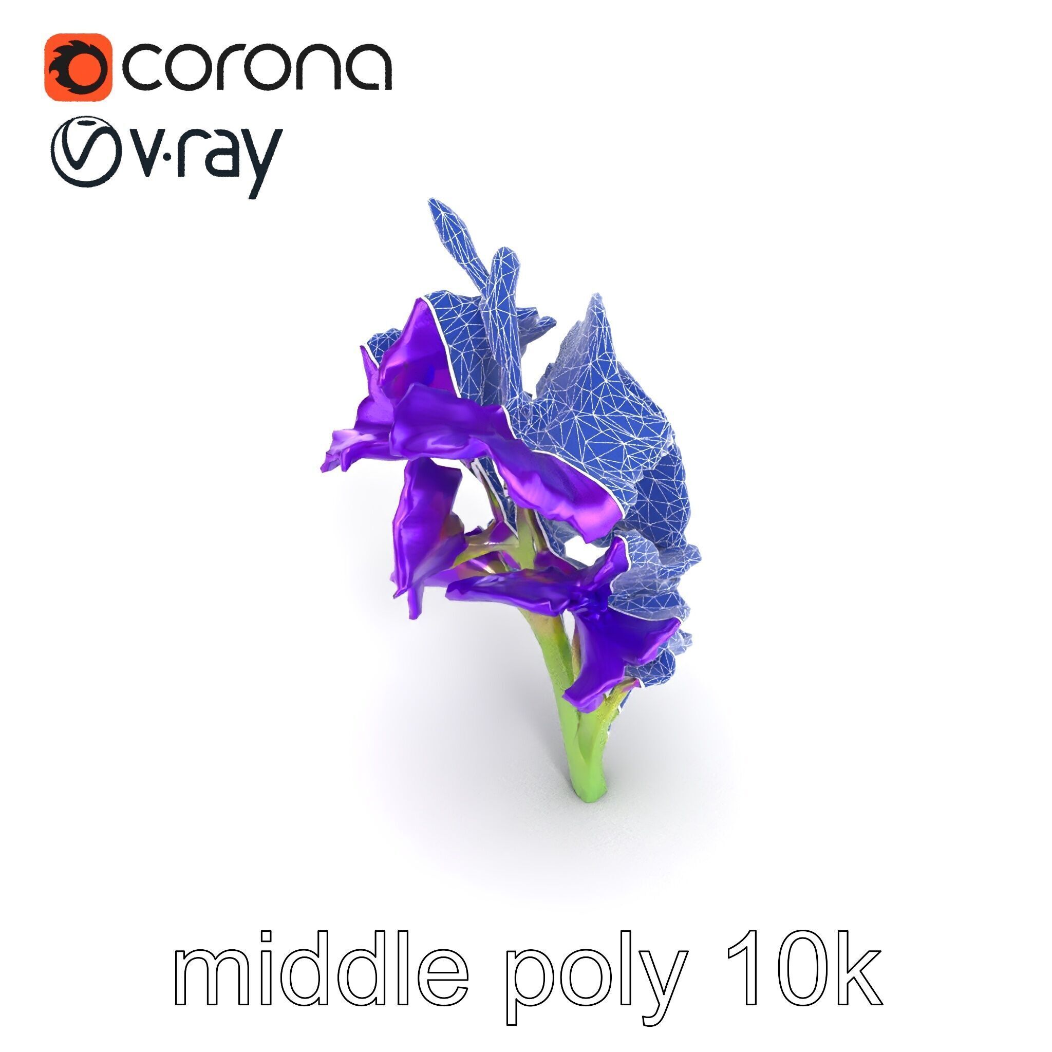 Gladiolus Purple Petals Bloom Sculpture model pack Low-poly 3D model_28