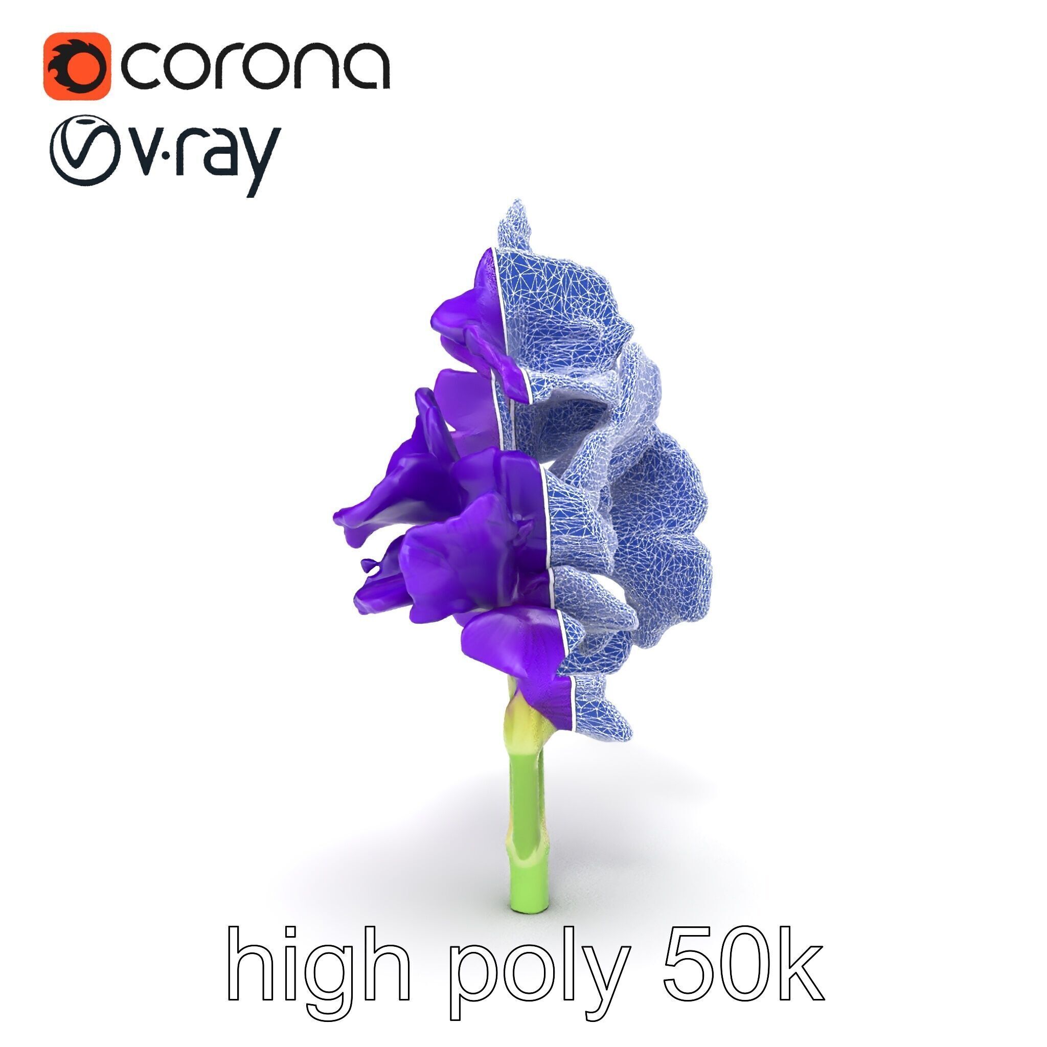 Gladiolus Purple Petals Bloom Sculpture model pack Low-poly 3D model_11