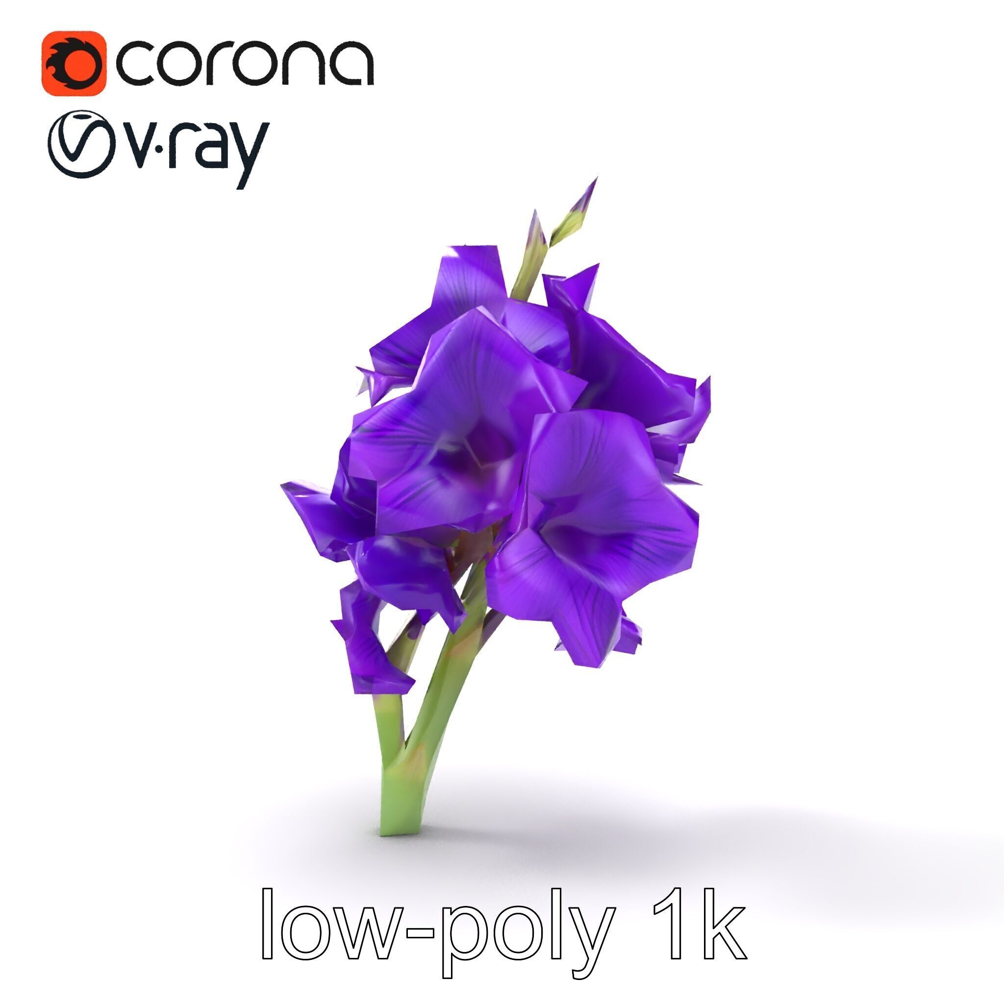 Gladiolus Purple Petals Bloom Sculpture model pack Low-poly 3D model_15