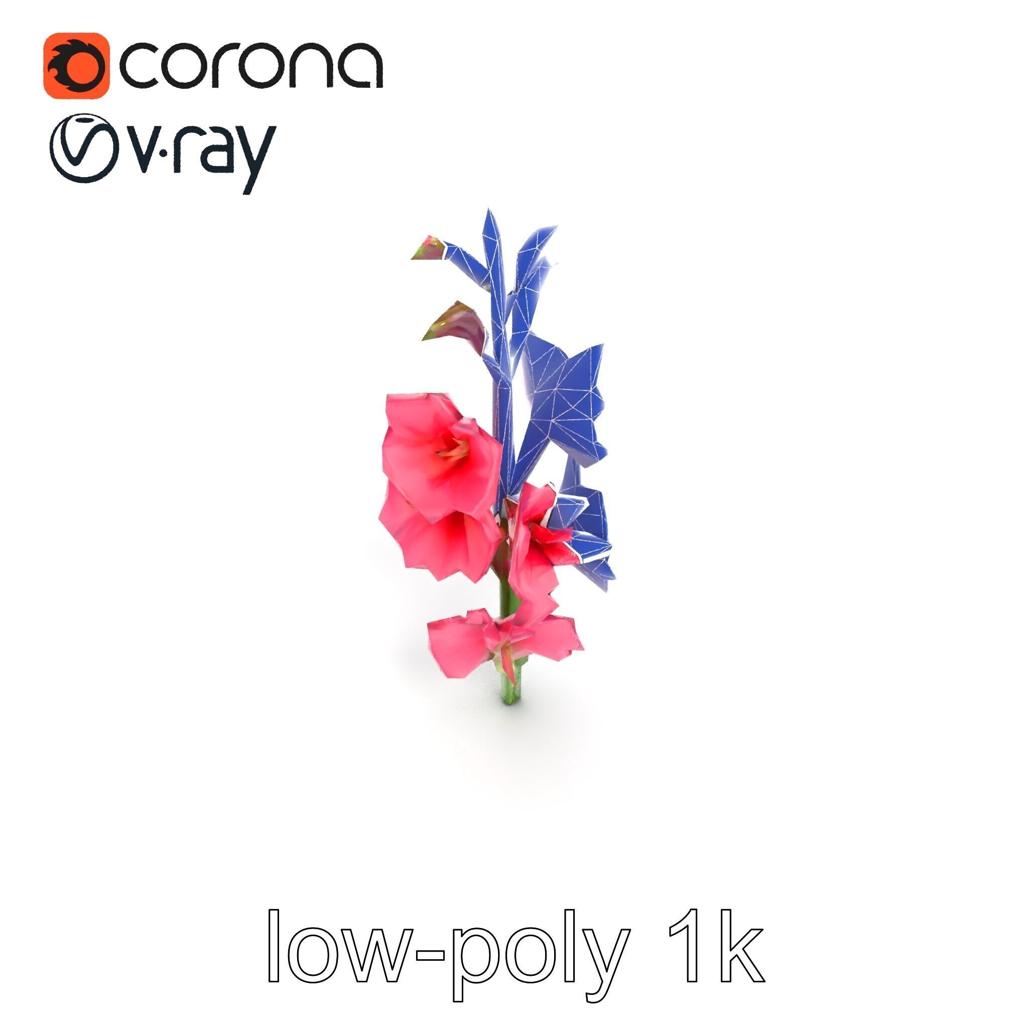 Gladiolus Pink Flower Botanical model pack Low-poly 3D model_29