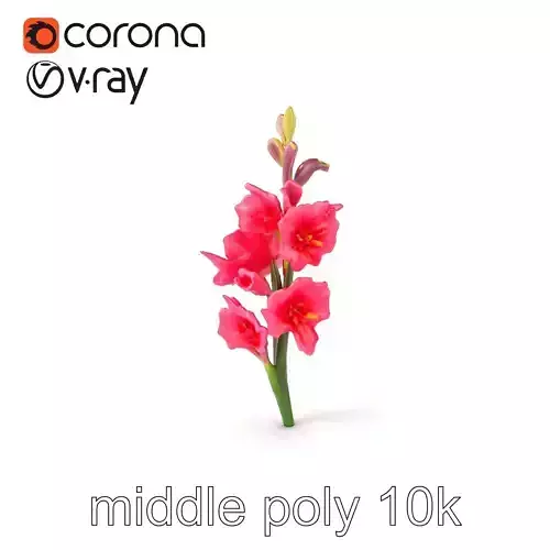 Gladiolus Pink Flower Botanical model pack Low-poly 3D model Gladiolus Pink Flower Botanical model pack Low-poly 3D model
