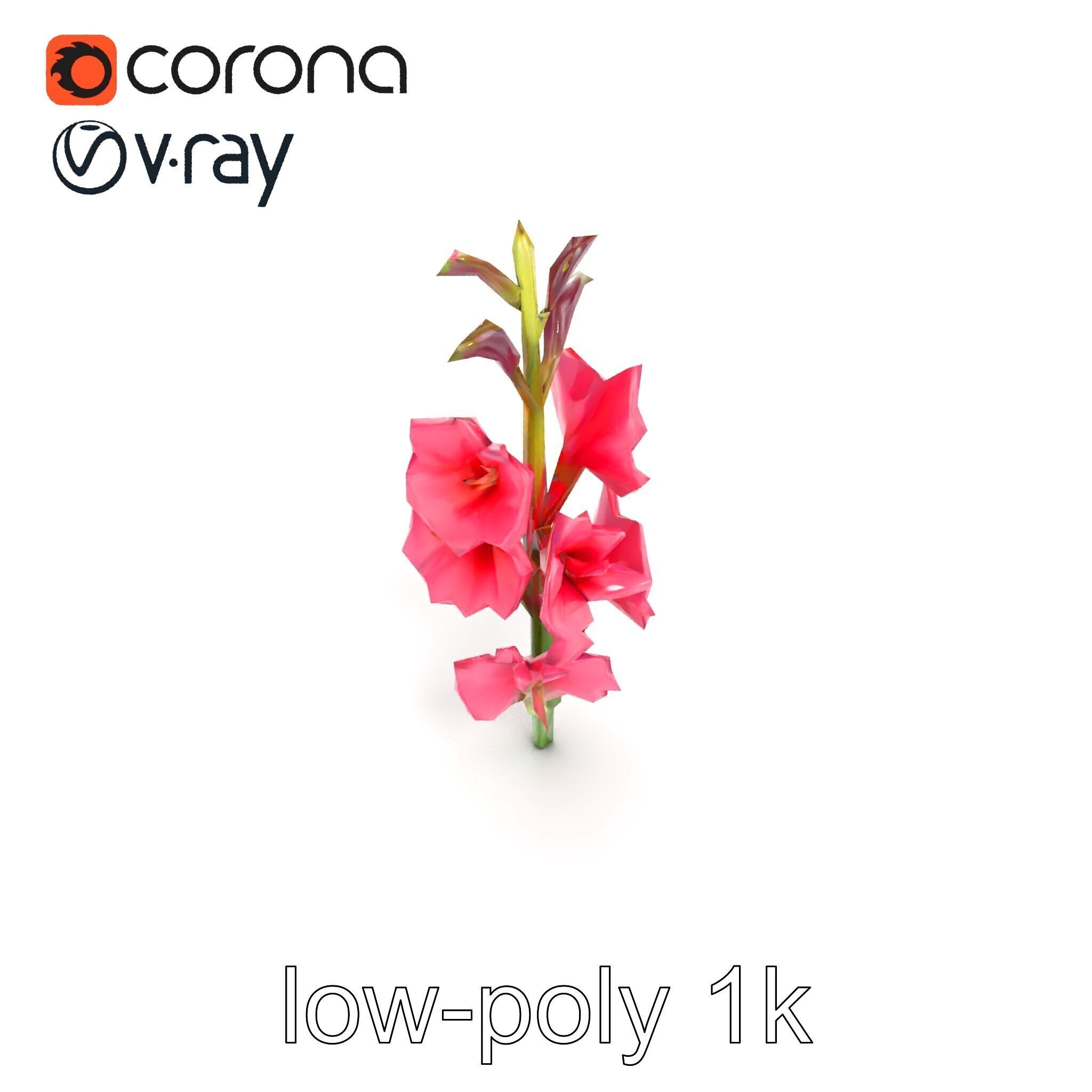 Gladiolus Pink Flower Botanical model pack Low-poly 3D model_18