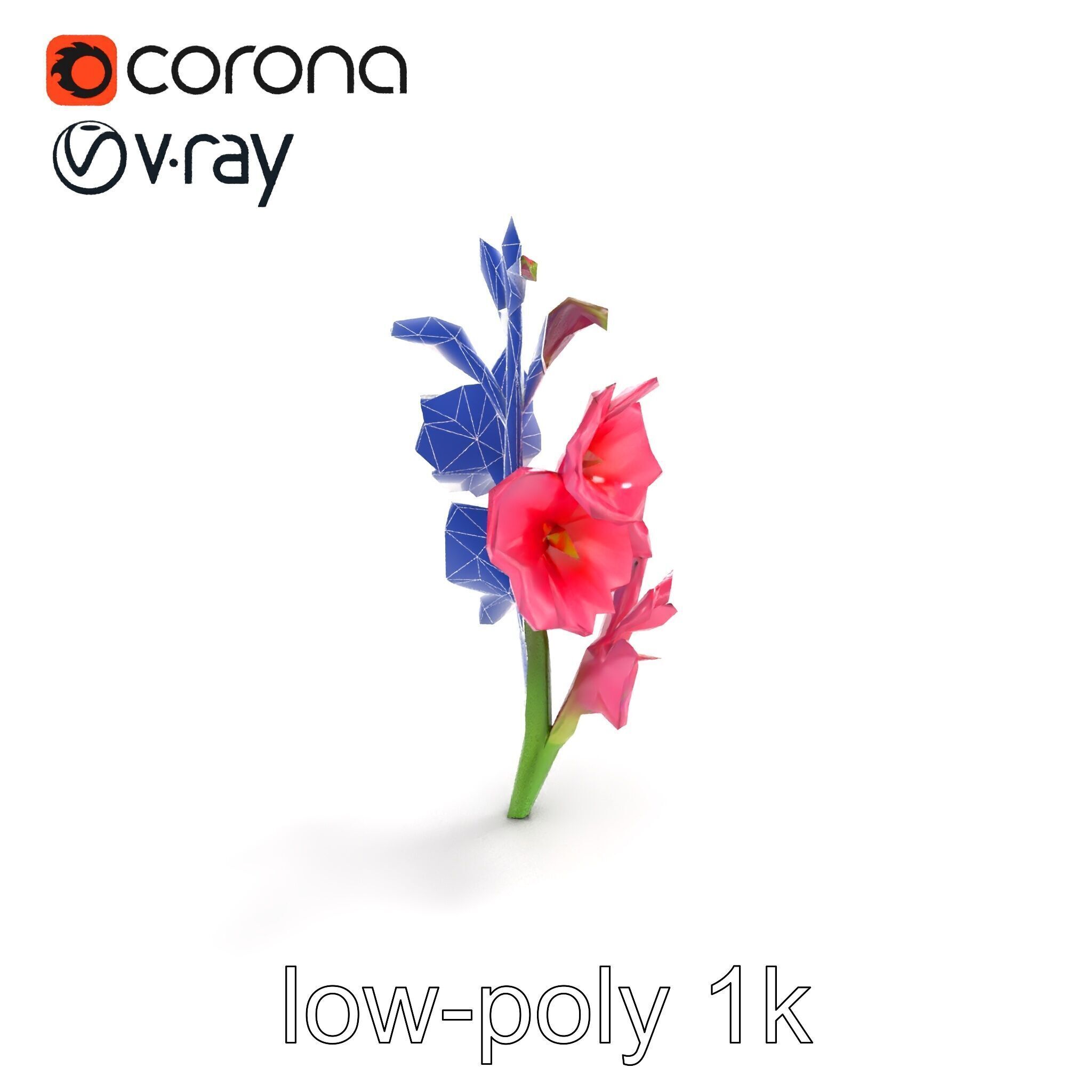 Gladiolus Pink Flower Botanical model pack Low-poly 3D model_31
