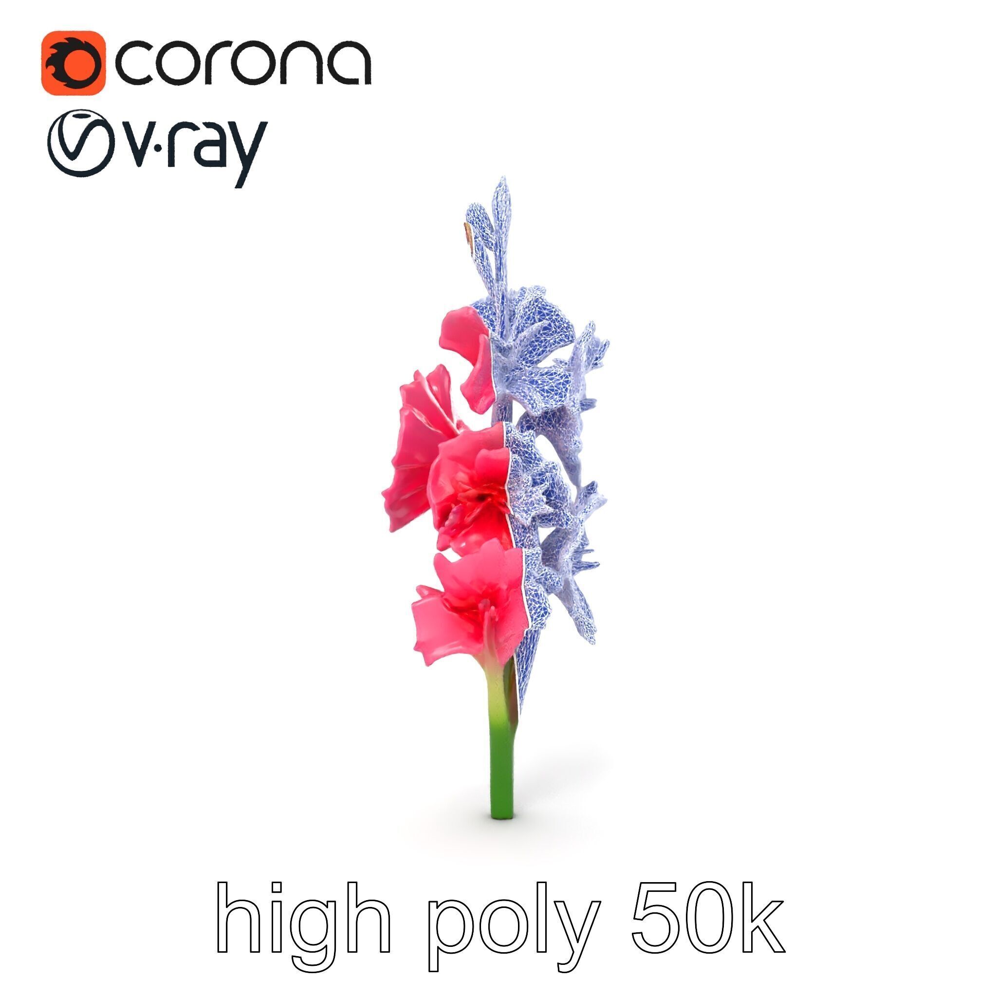 Gladiolus Pink Flower Botanical model pack Low-poly 3D model_23