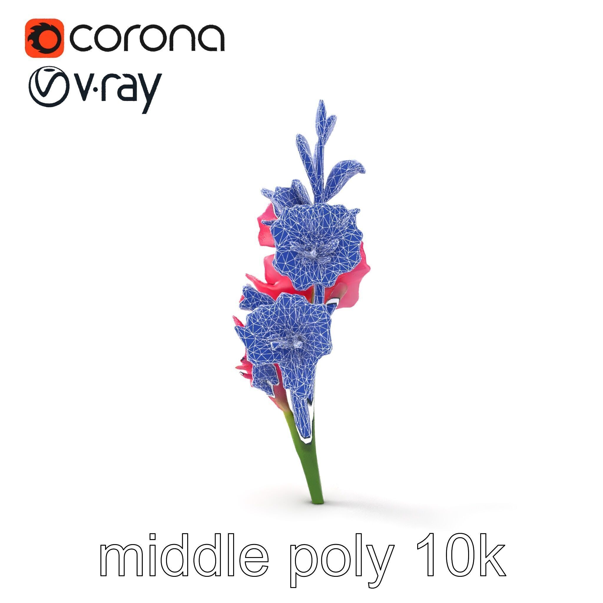 Gladiolus Pink Flower Botanical model pack Low-poly 3D model_28