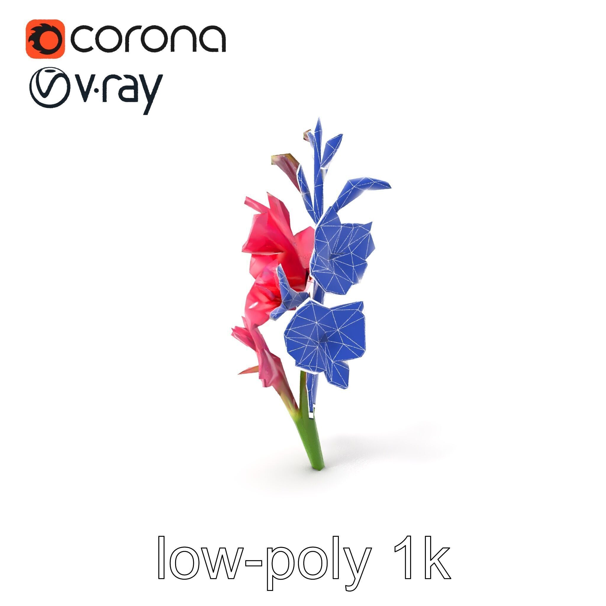 Gladiolus Pink Flower Botanical model pack Low-poly 3D model_7