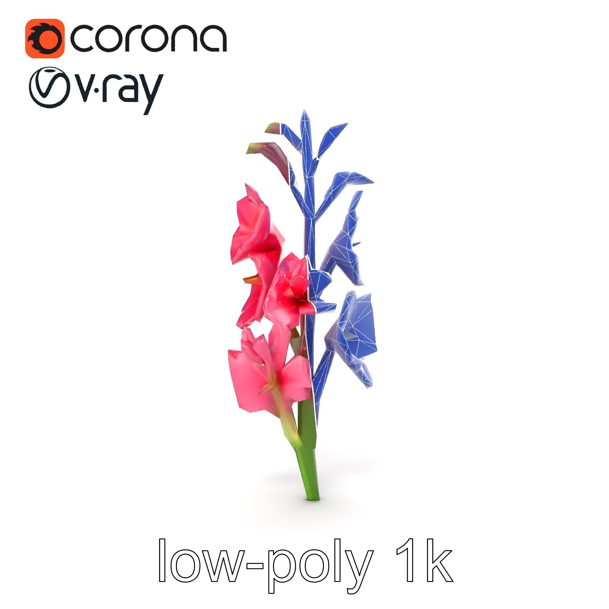 Gladiolus Pink Flower Botanical model pack Low-poly 3D model_17