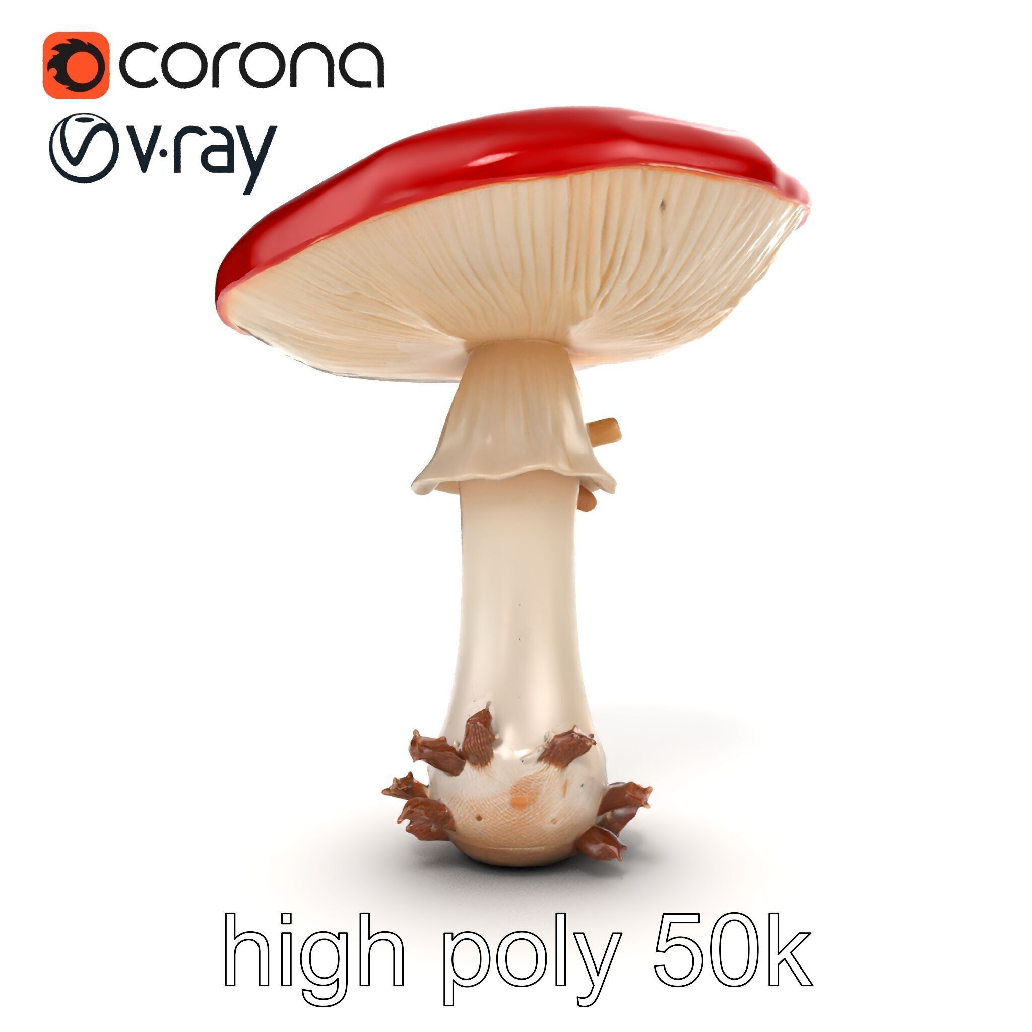 Giant Red-Cap Mushroom Sculpture model pack Texture_32