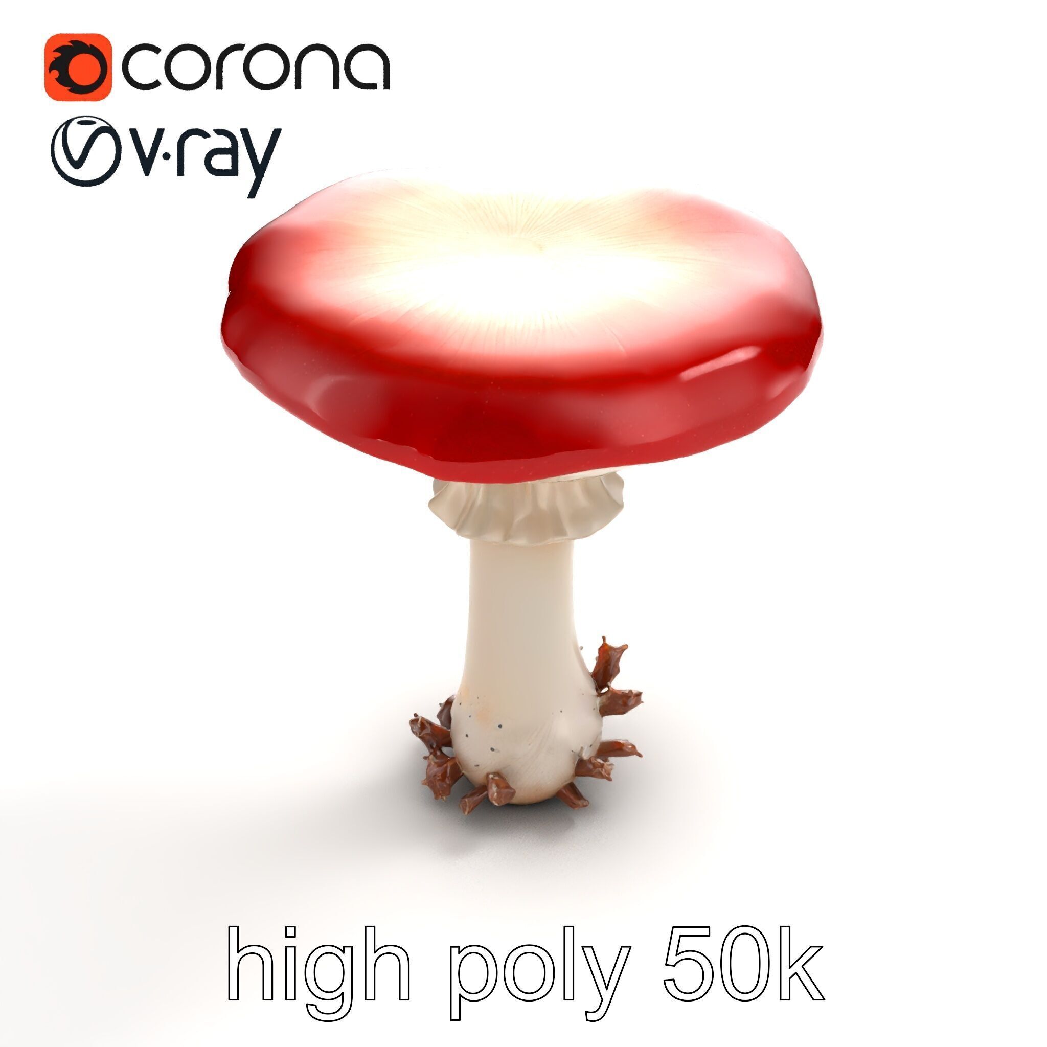 Giant Red-Cap Mushroom Sculpture model pack Texture_20