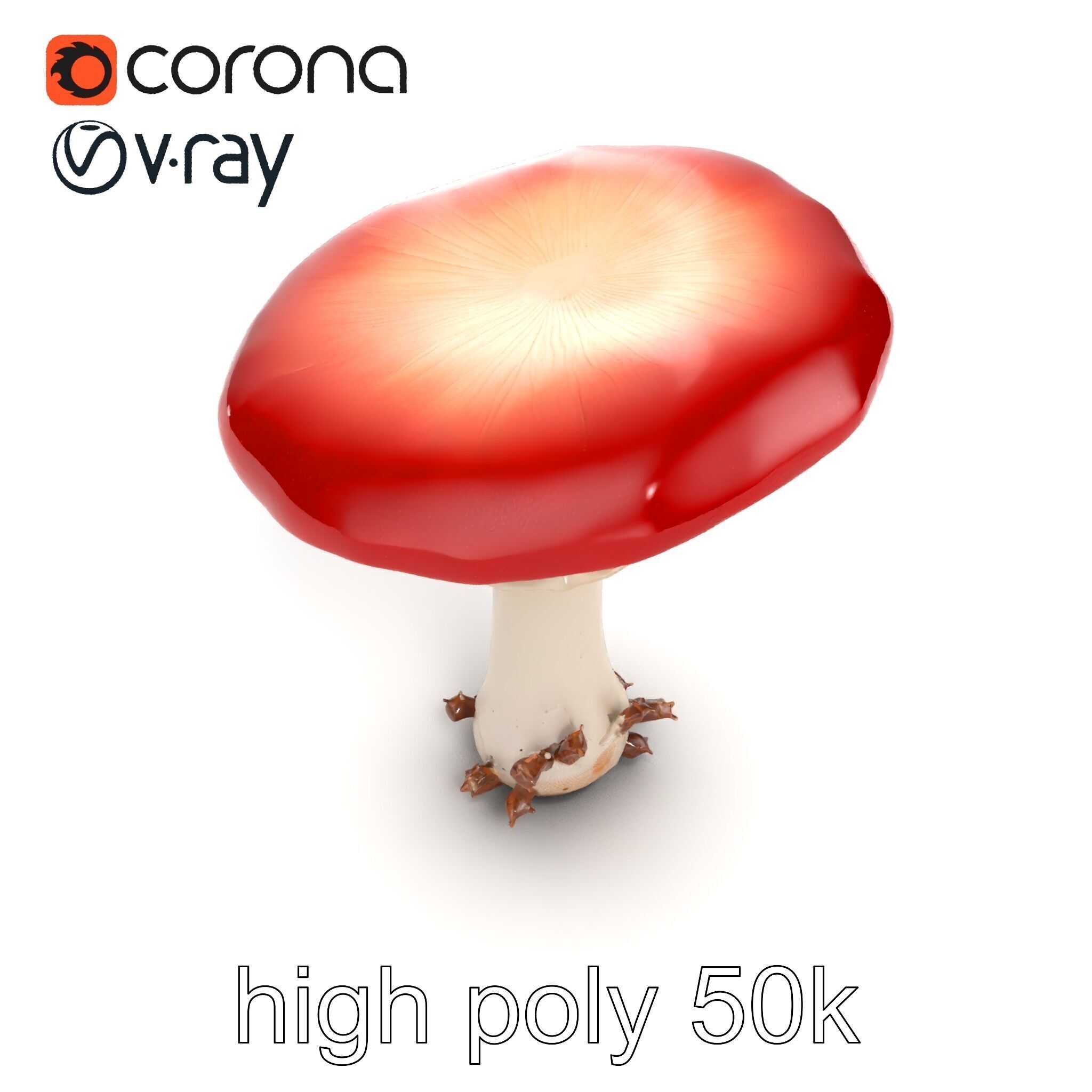 Giant Red-Cap Mushroom Sculpture model pack Texture_28