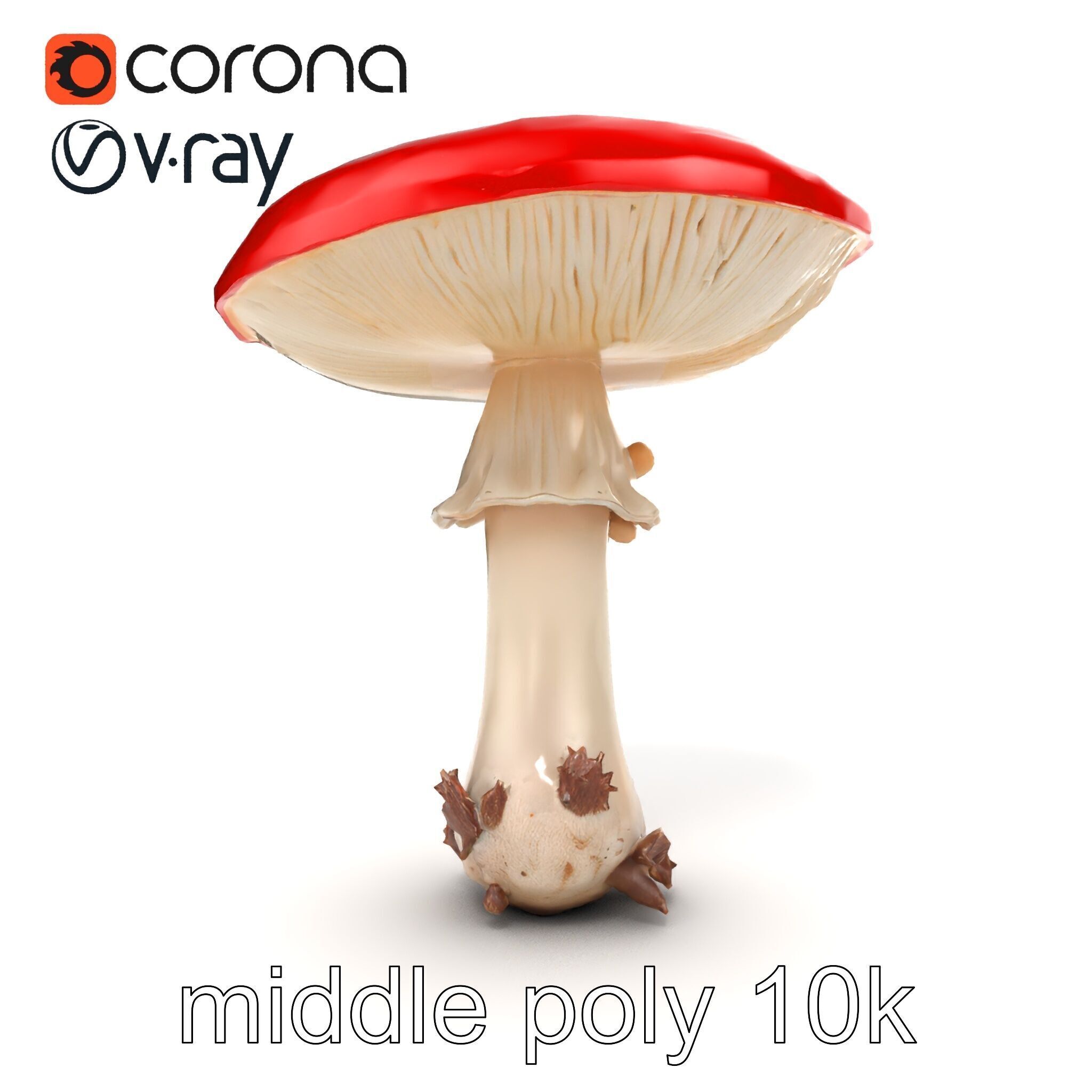 Giant Red-Cap Mushroom Sculpture model pack Texture_19