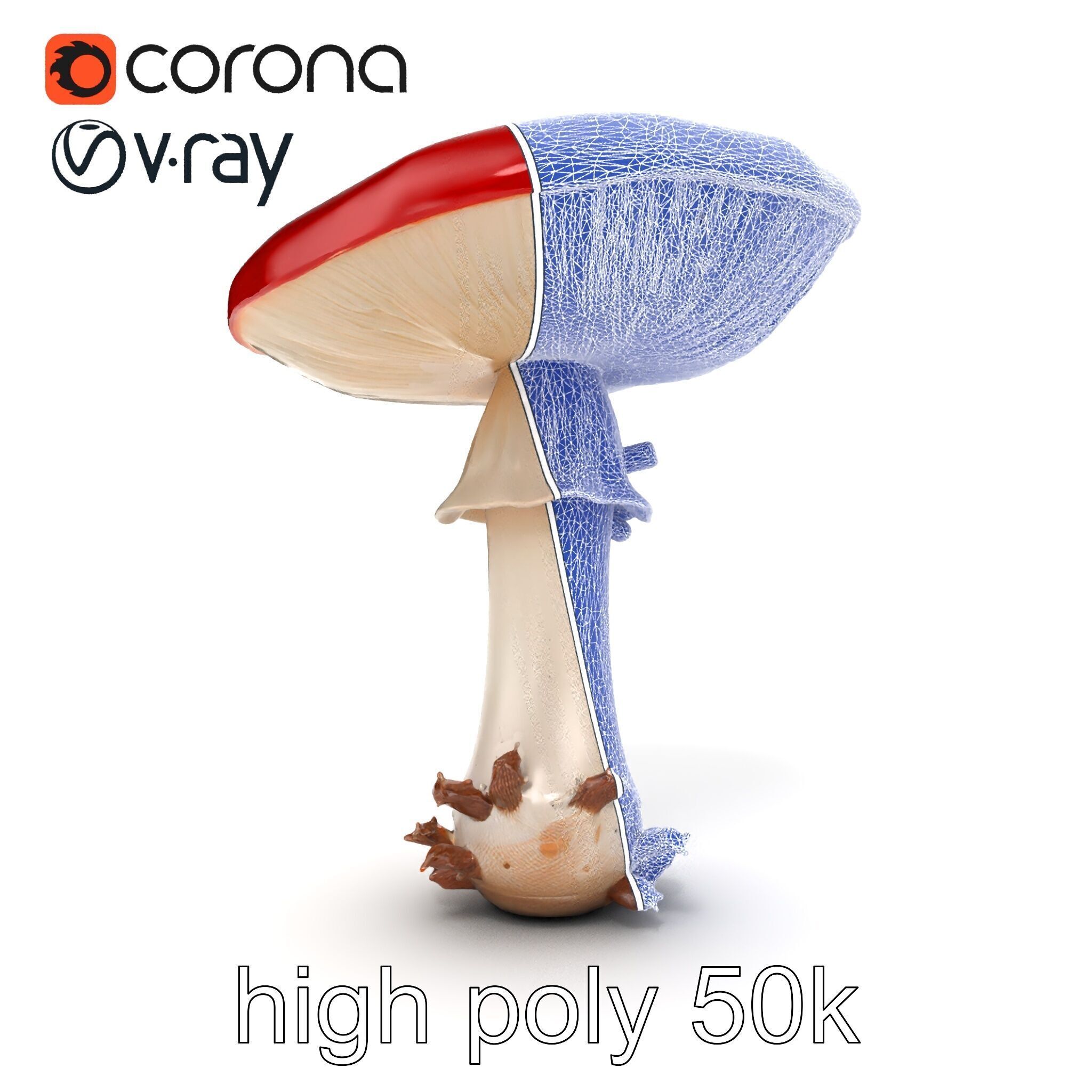 Giant Red-Cap Mushroom Sculpture model pack Texture_29