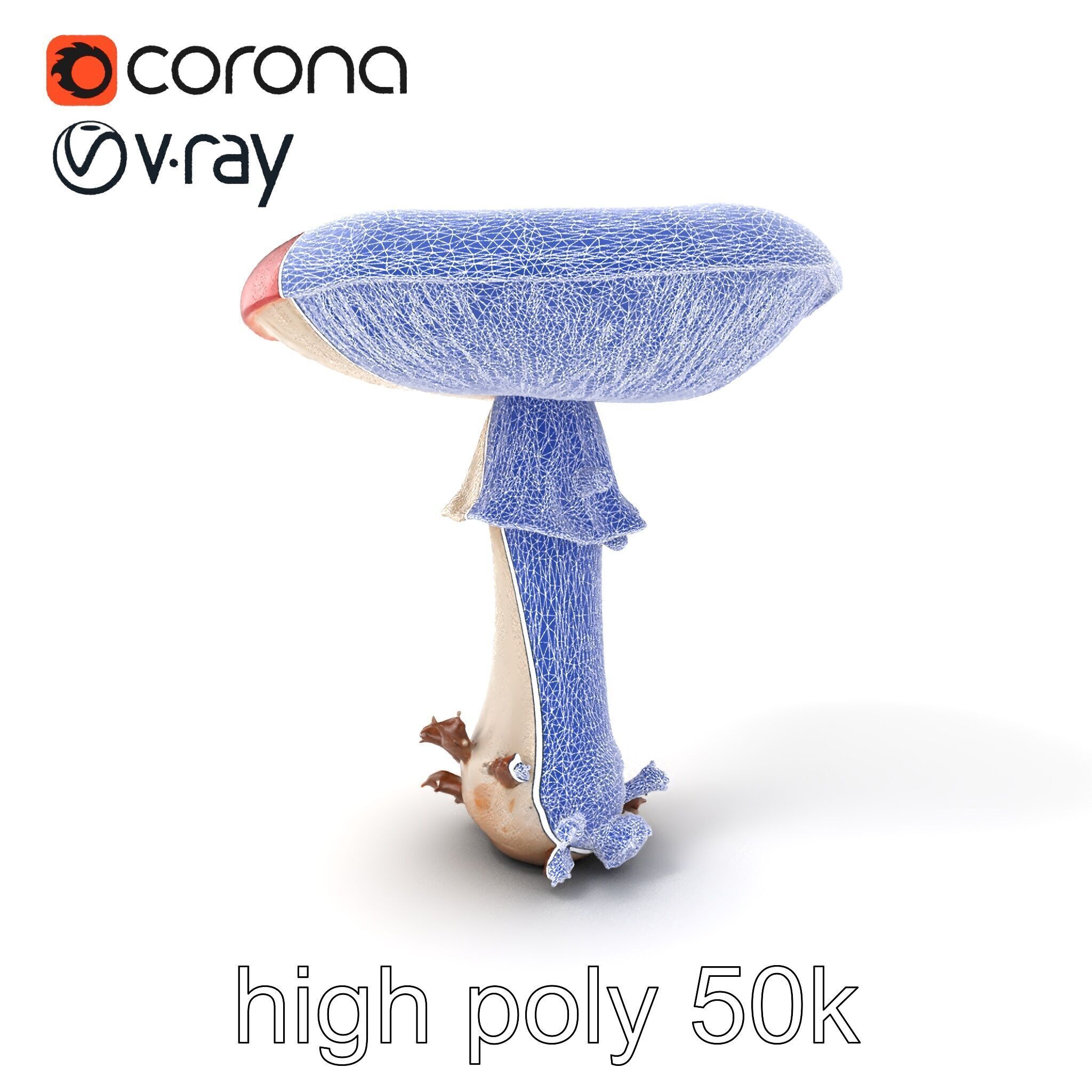 Giant Red-Cap Mushroom Sculpture model pack Texture_10