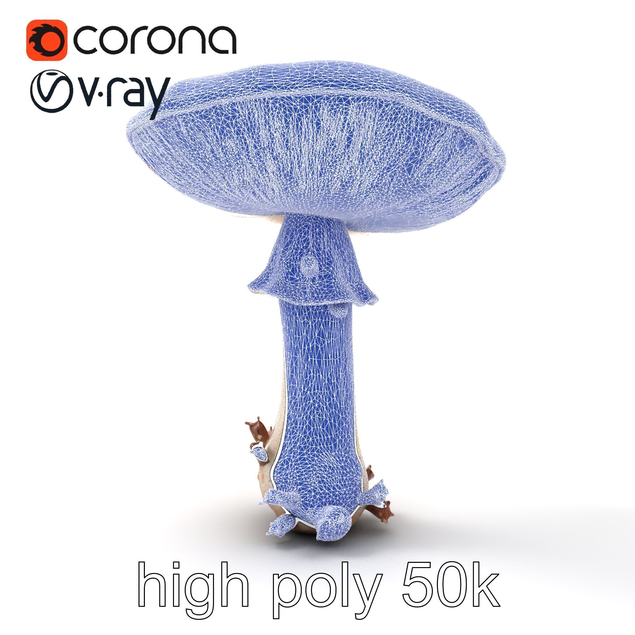 Giant Red-Cap Mushroom Sculpture model pack Texture_27