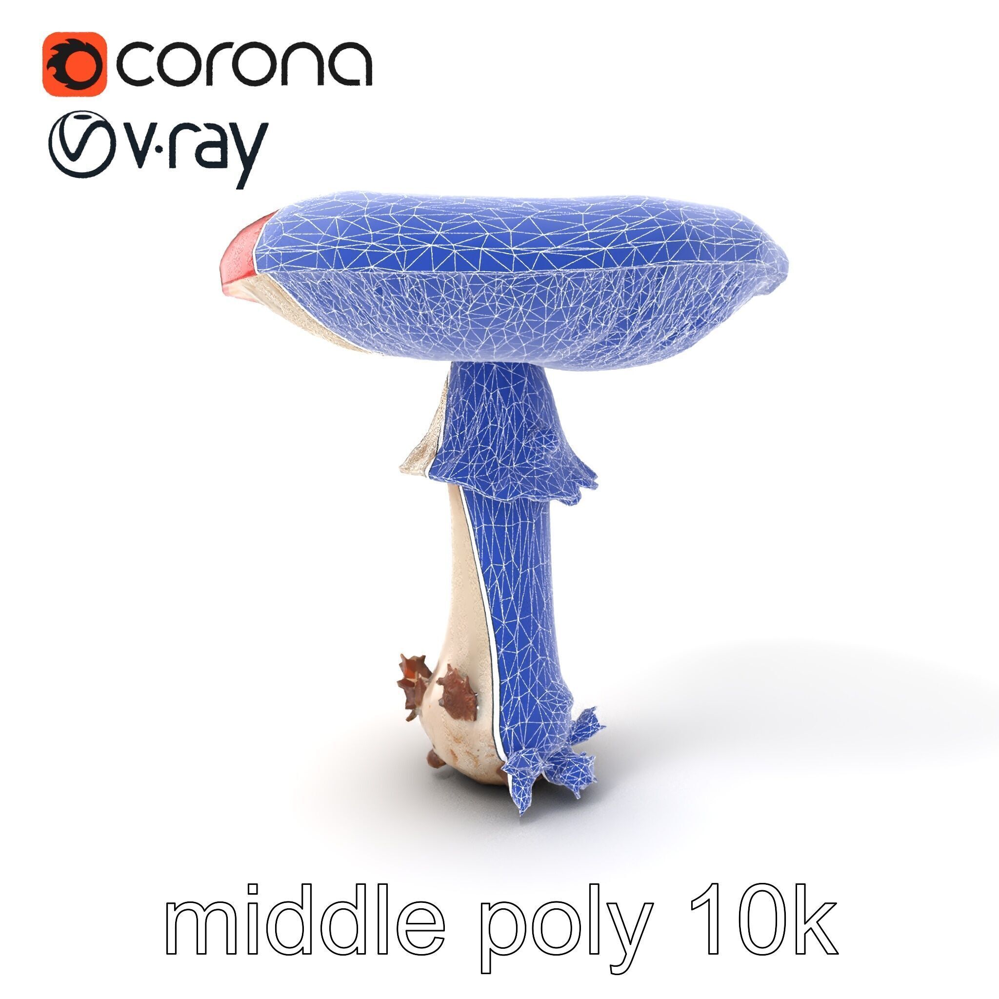 Giant Red-Cap Mushroom Sculpture model pack Texture_6