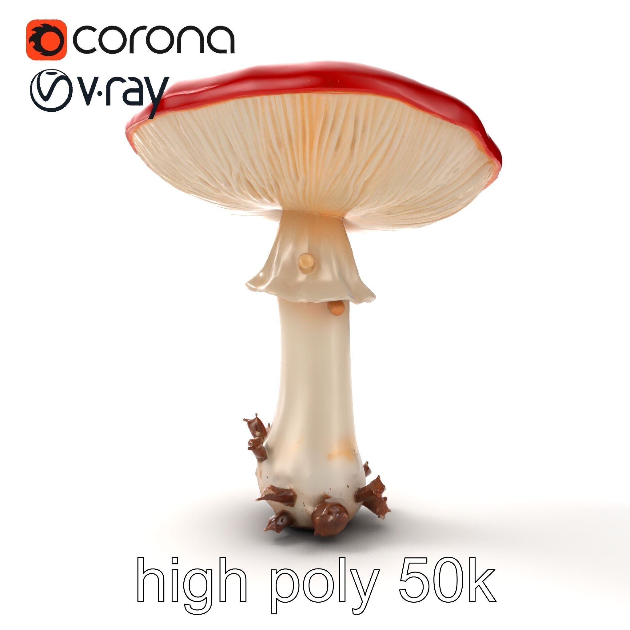 Giant Red-Cap Mushroom Sculpture model pack Texture_17