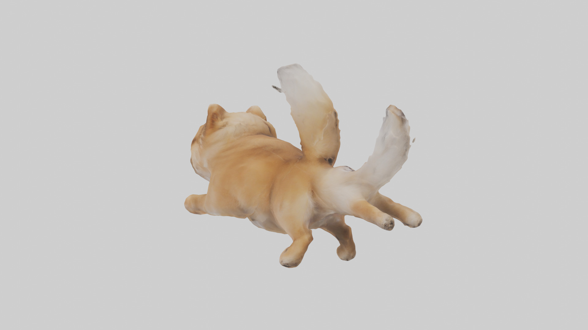 Pomeranian jumping model Low-poly 3D model_1