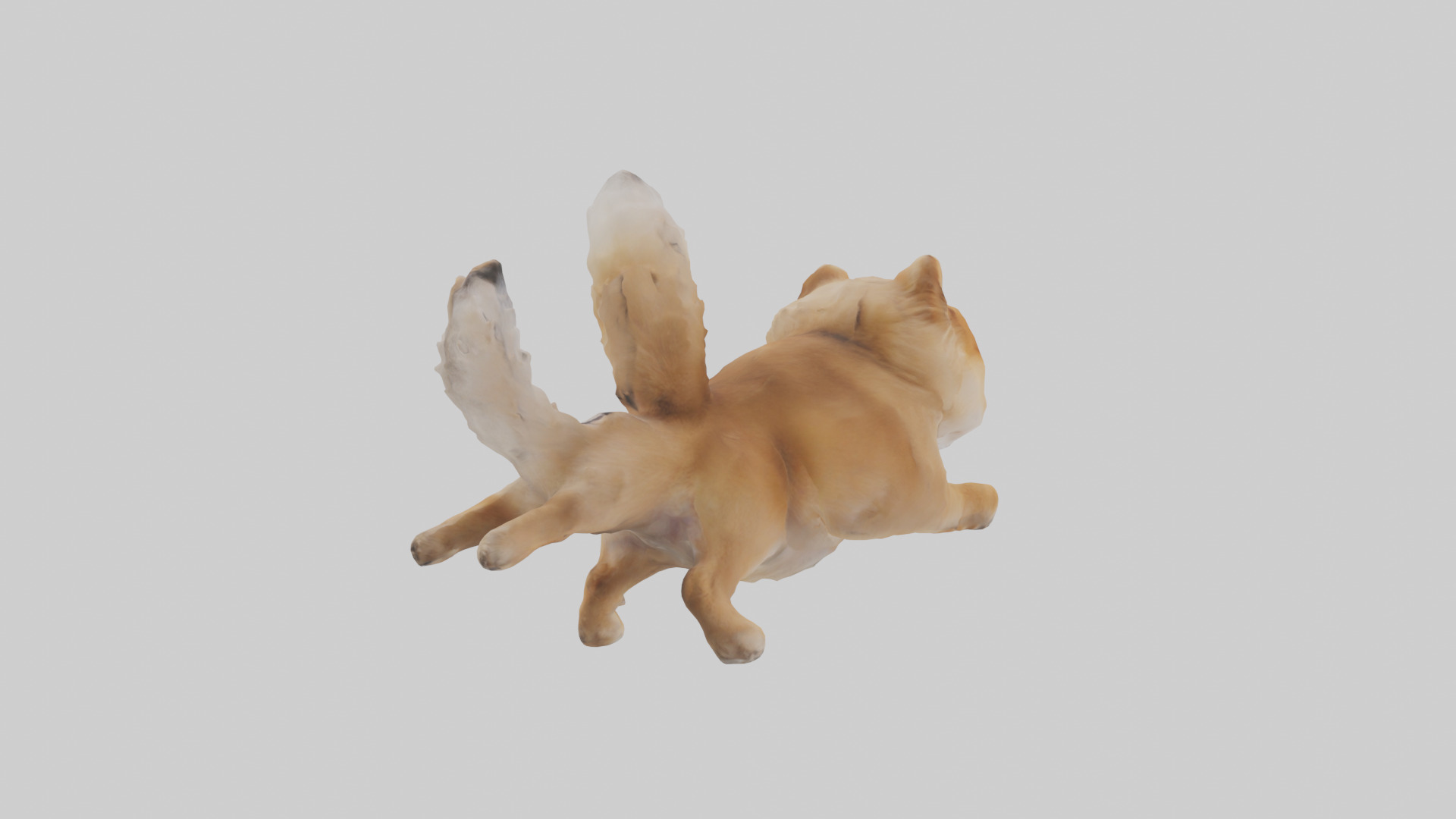 Pomeranian jumping model Low-poly 3D model_2